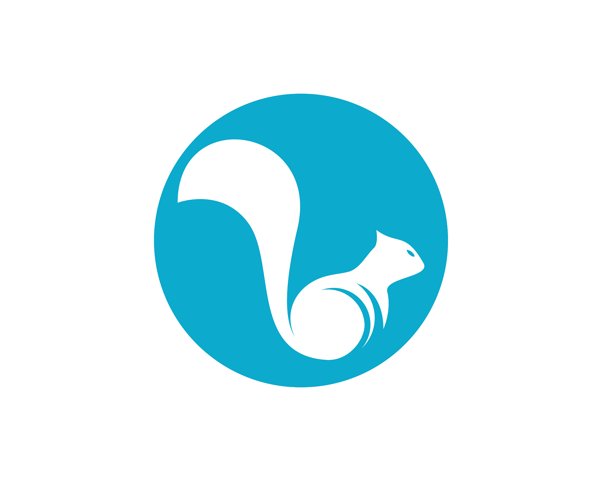 squirrel vector icon illustration