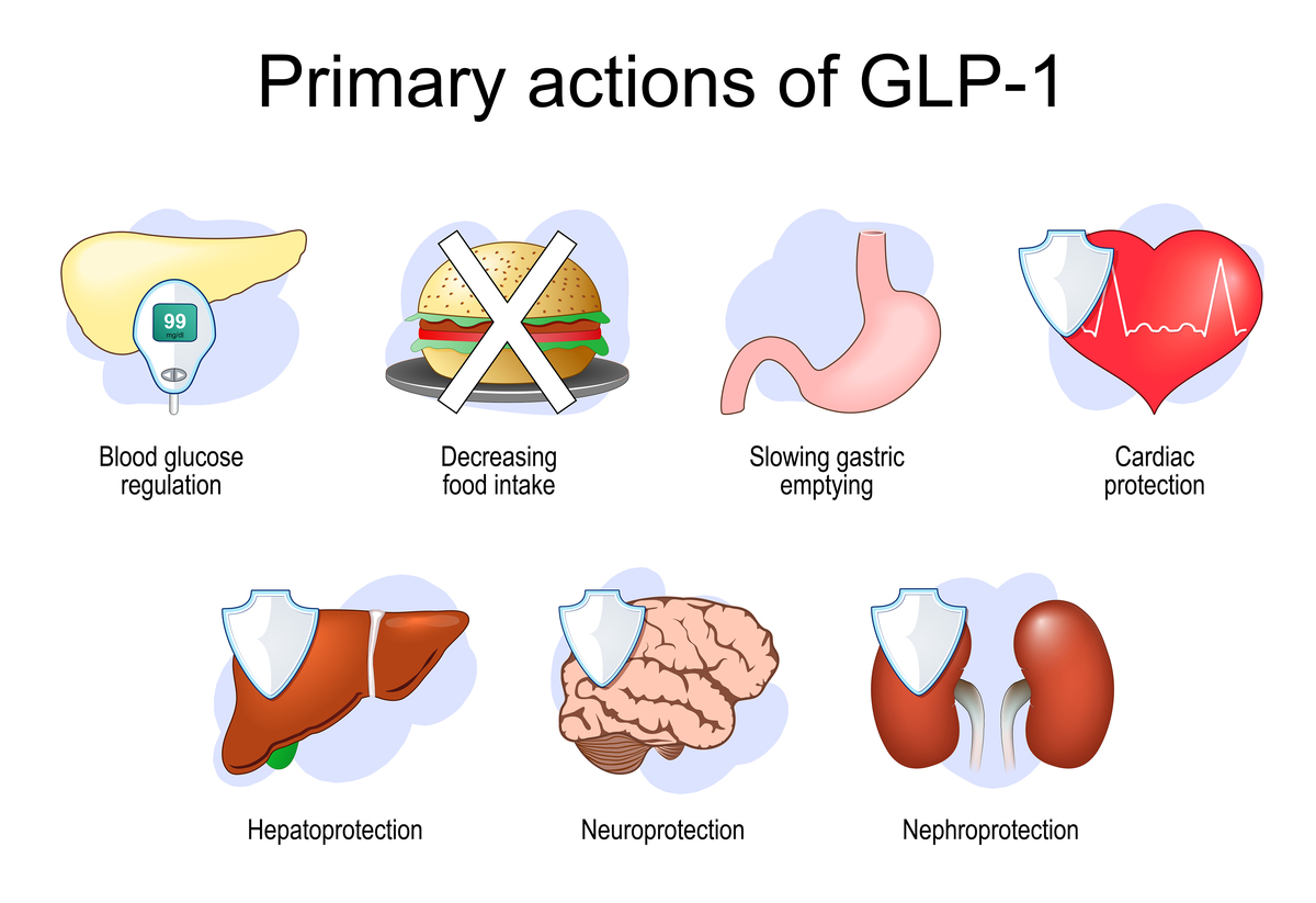 Cardiovascular Disease & Obesity: Symptoms, Treatment, & Management