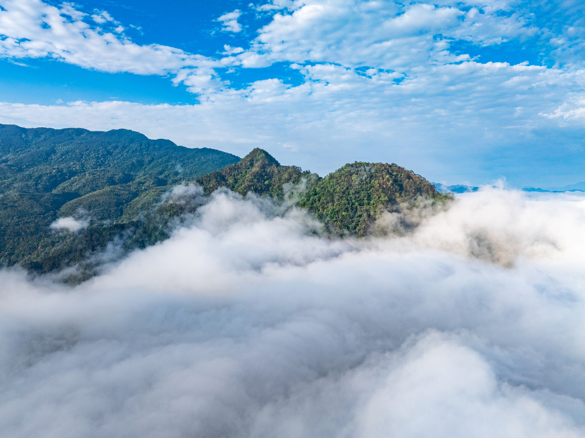 请用100字描述站在山坡上云雾笼罩云雾有黄色、白色映照着蓝天