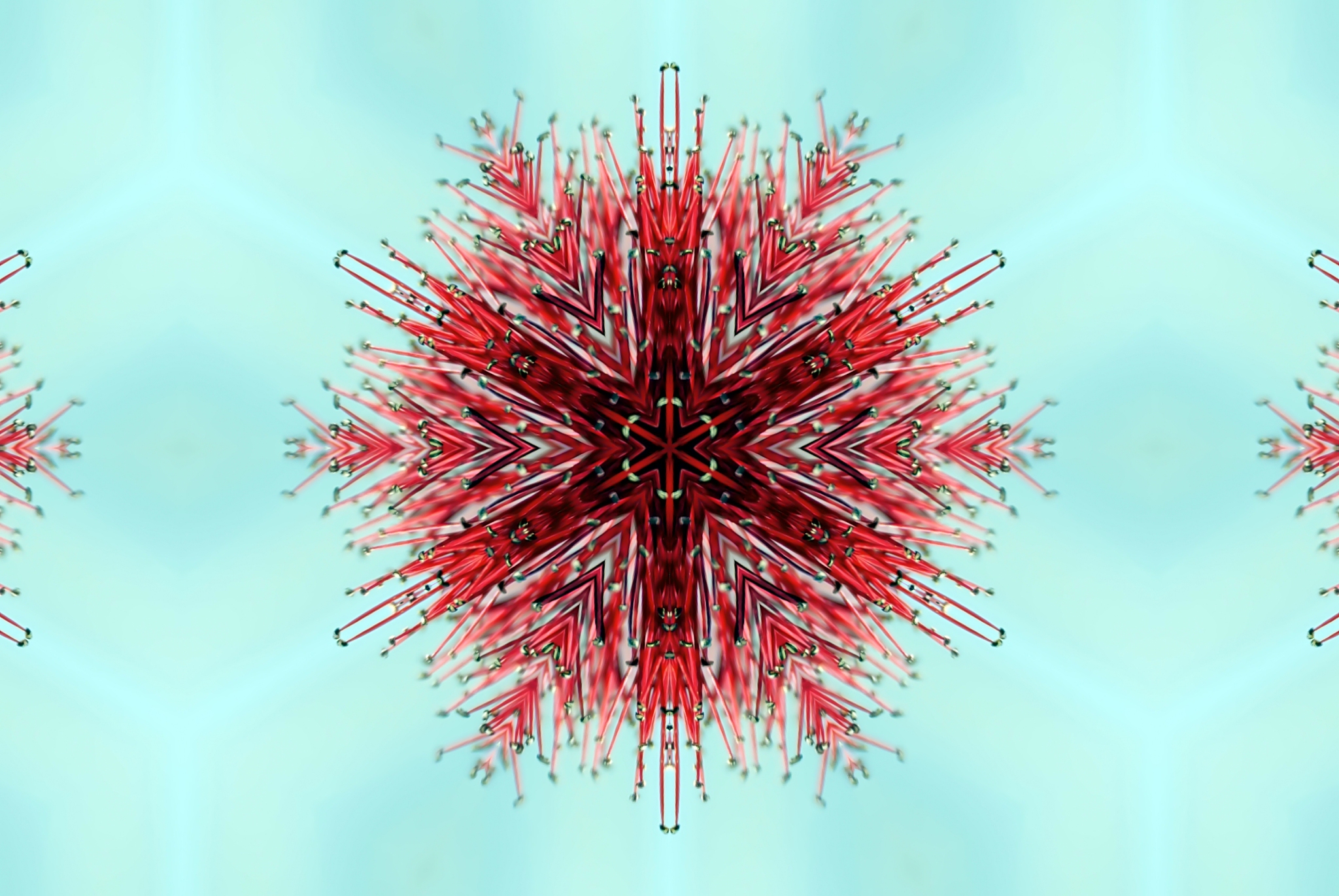 郑州力科分院汽车维修与营销服务专业（初中三年）招生简章：未来发展方向分析