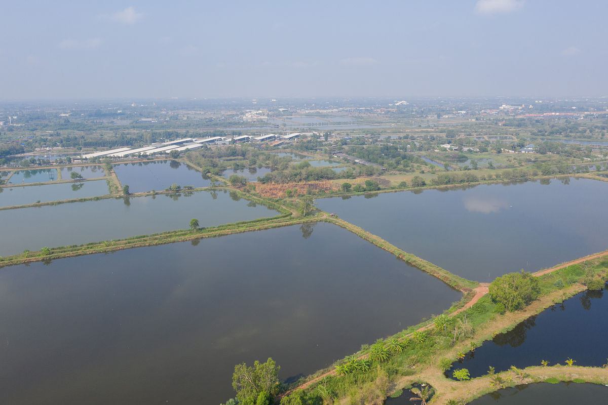 以研发生产销售4G云智能远程遥控开关·云智能鱼塘控制器·云智能大棚控制器为主要业务的郑州翰拓智能科技有限公司写一份公司简介