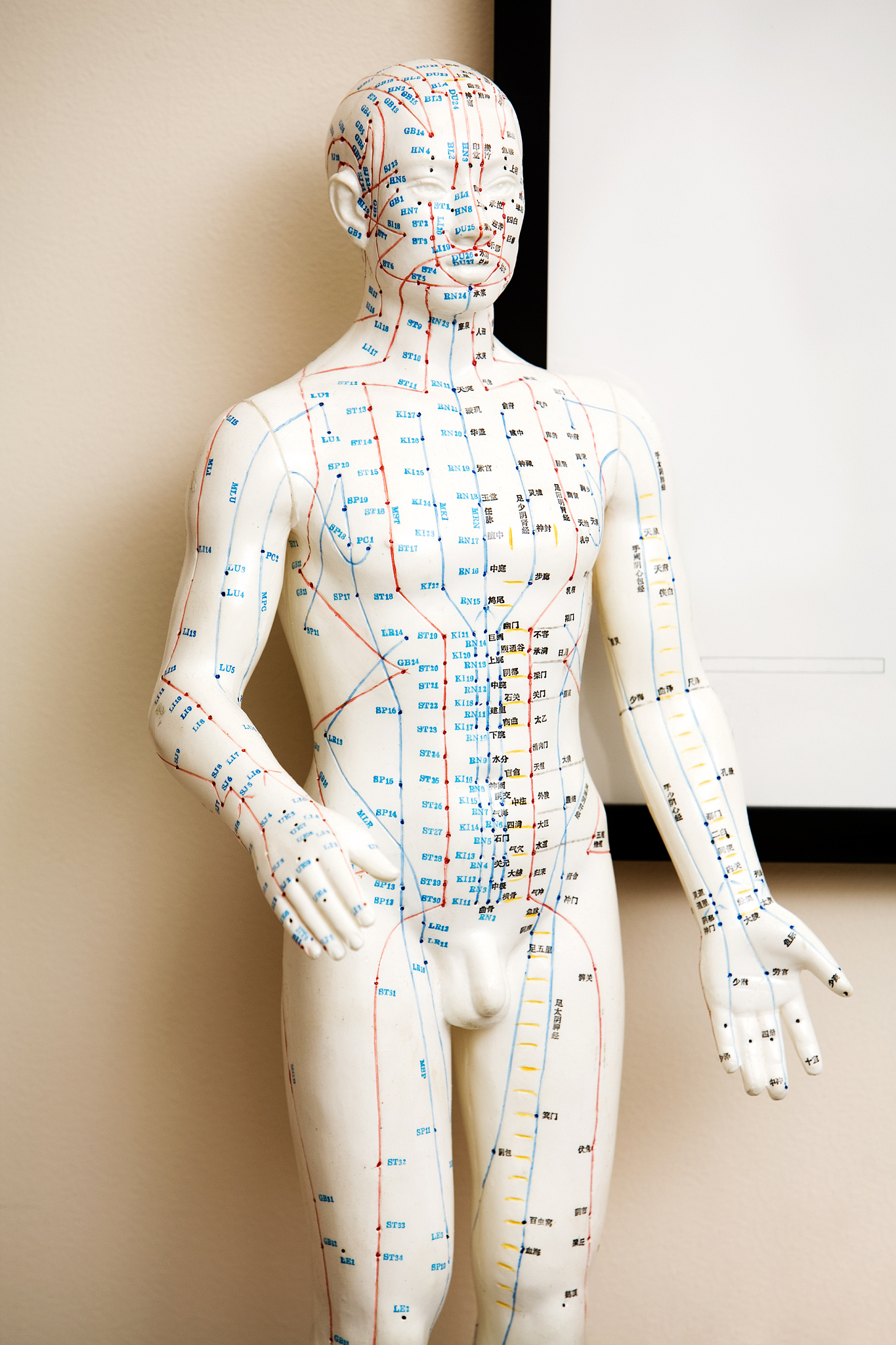 赣南中医药学校幼儿保育专业招生对象：培养爱心与责任感，成就未来幼教人才