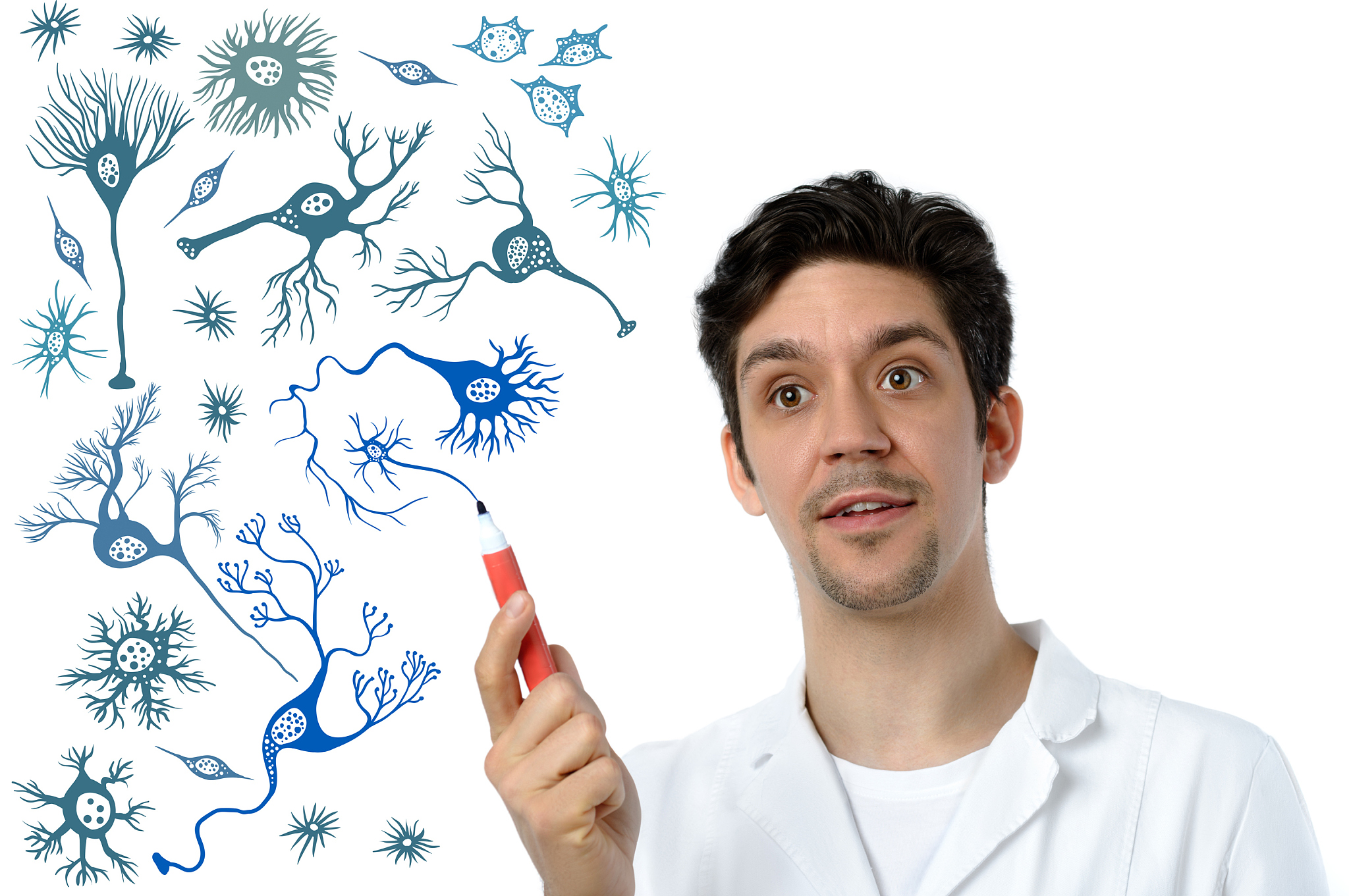 的关于科研友谊的故事