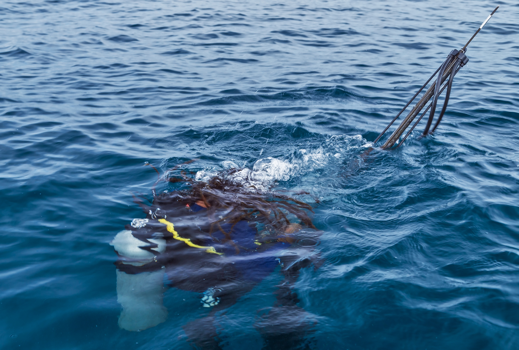 Surrounded by Fish: An Unforgettable Ocean Adventure