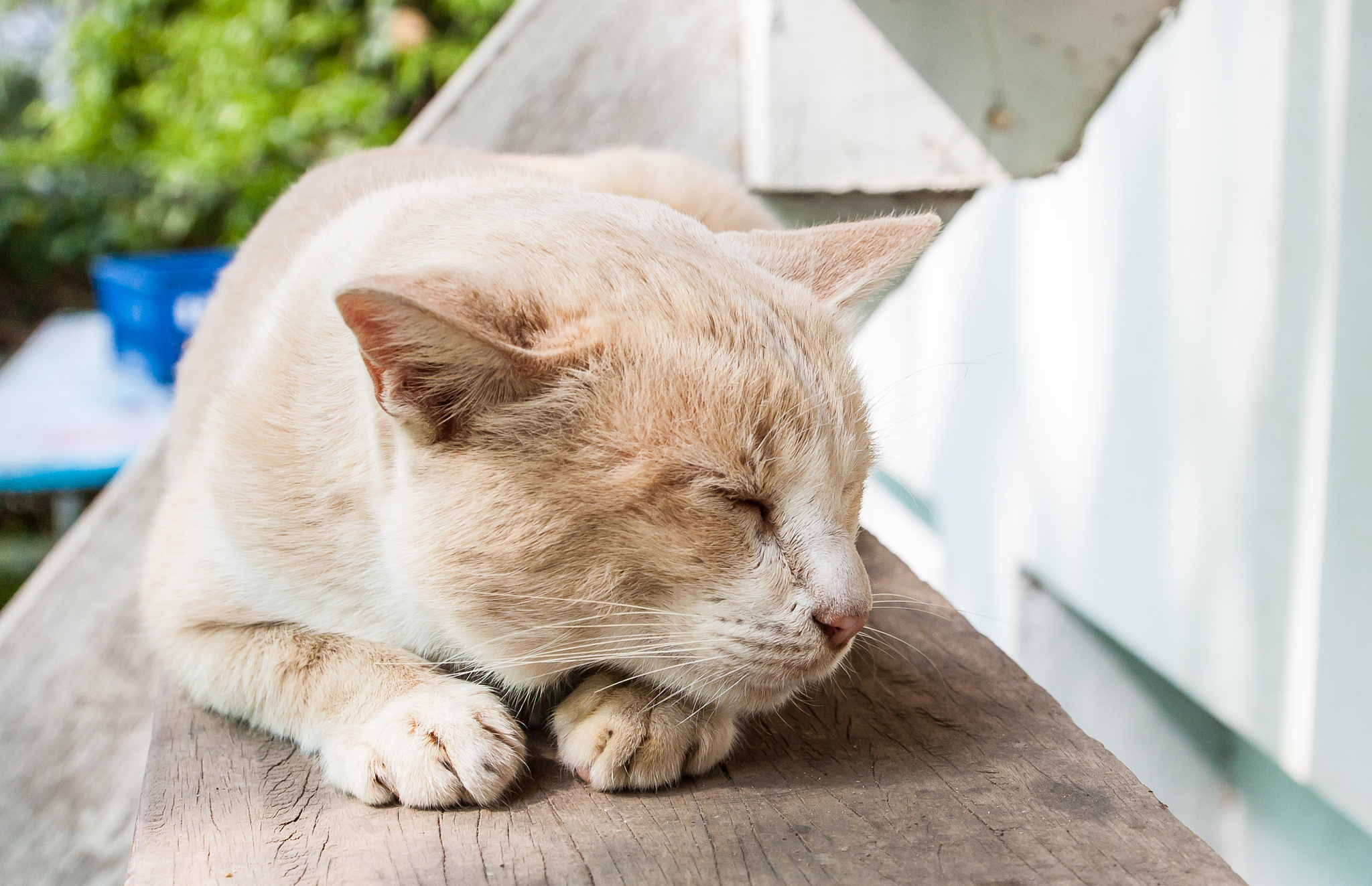 给爷整点乐子比如你还喜欢人类。