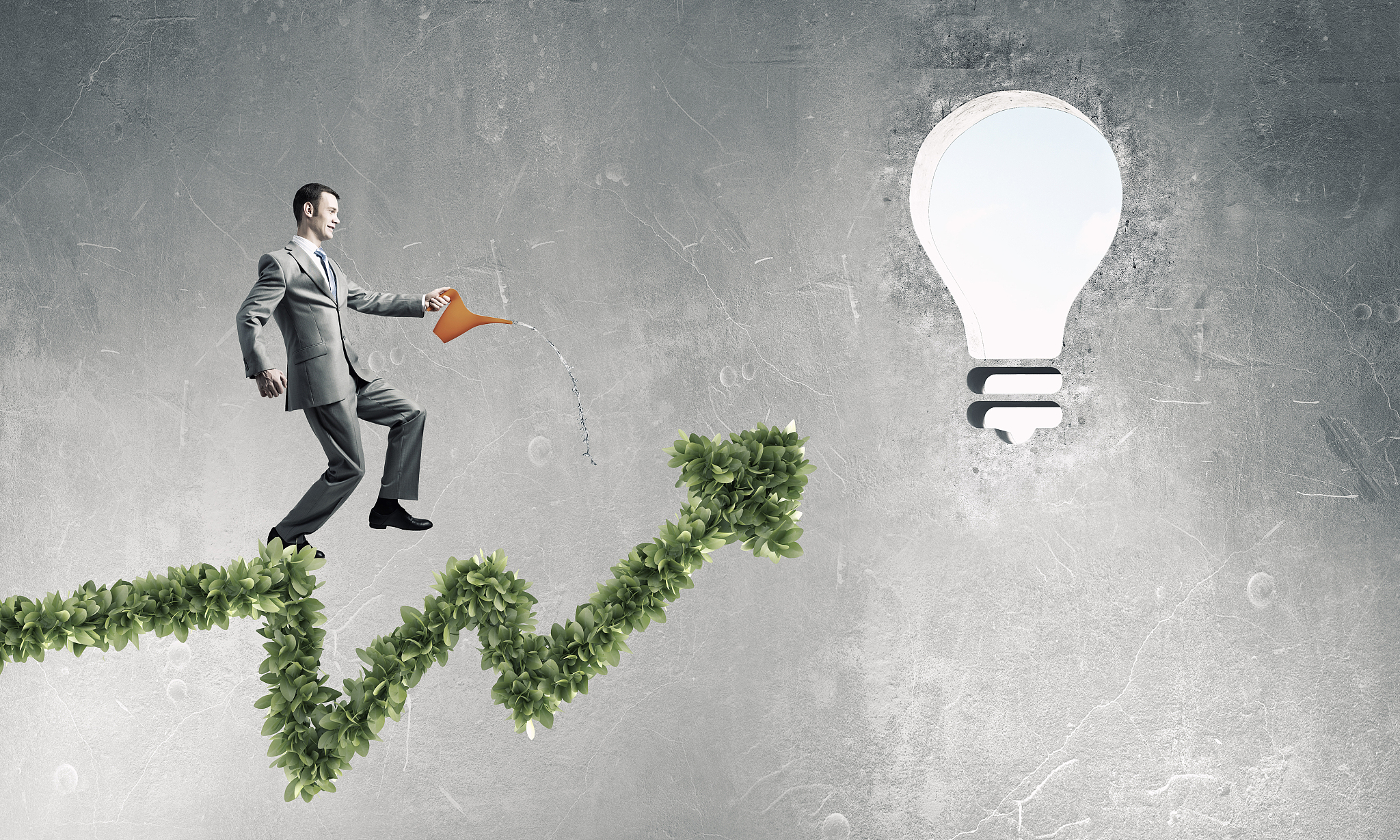 invest right to get income. young businessman watering green pla