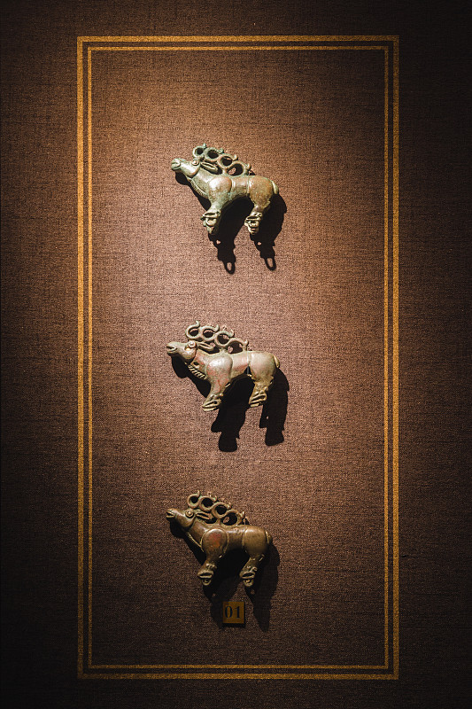 甘肃商业学校2023招生要求有哪些