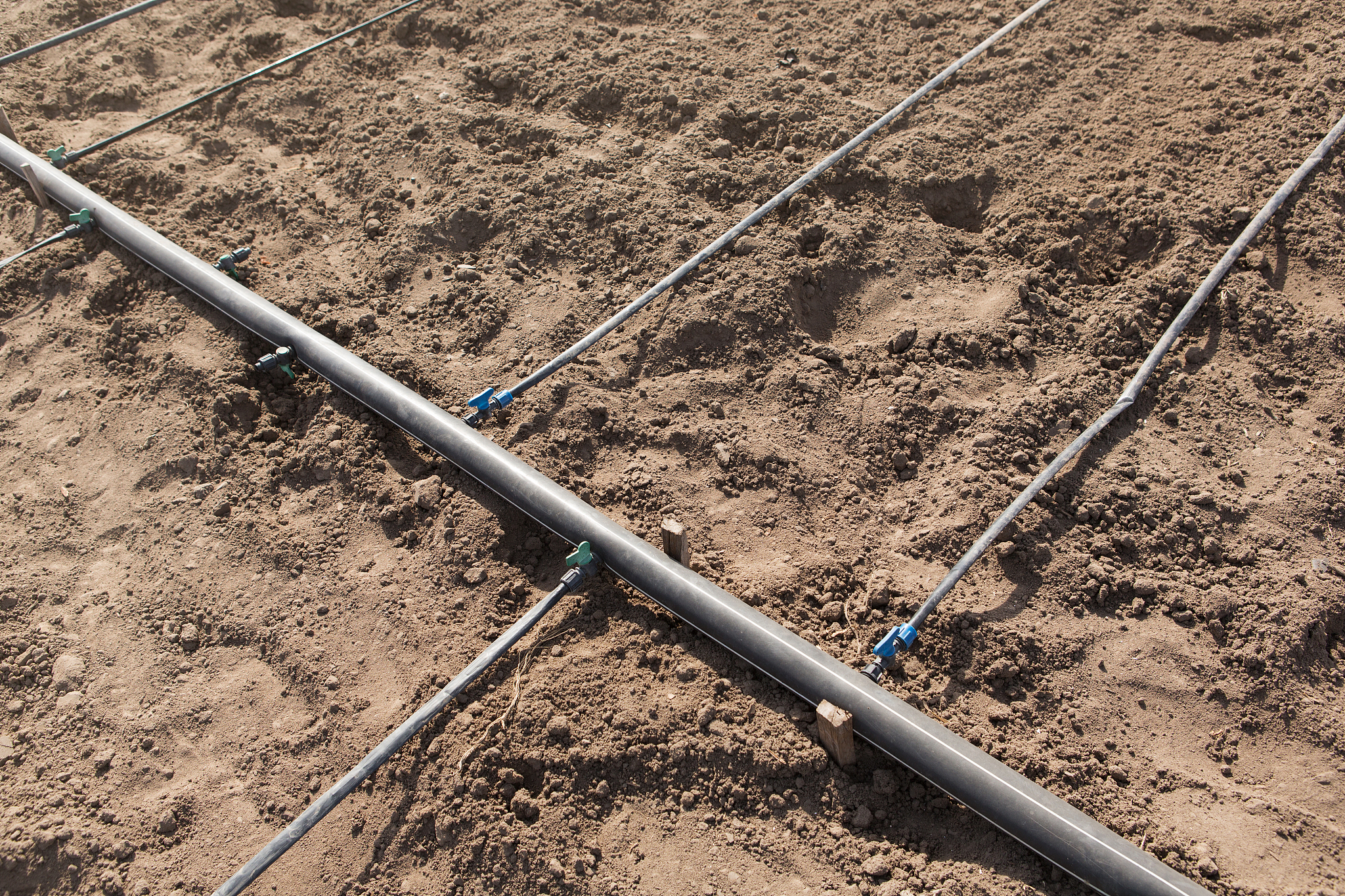 滴管带毛管间距25厘米，如何搭配90水带灌溉？