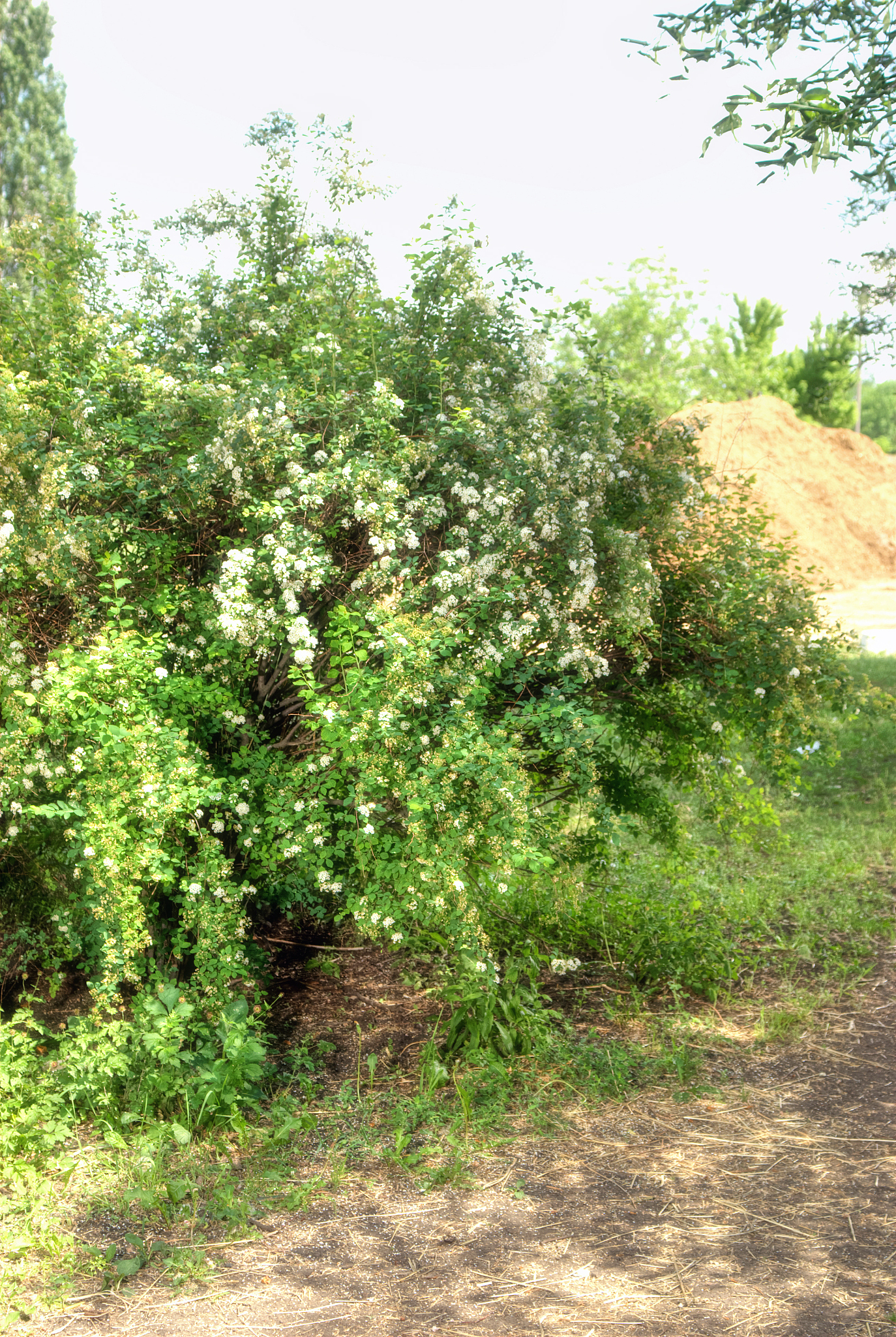 重庆园林技工学校招生专业及优势介绍 | 打造园林行业的未来精英