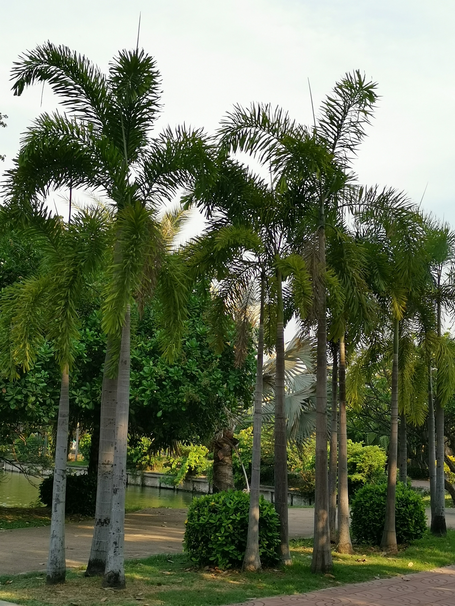 顺德职业技术学院园林技术专业课程设置有哪些