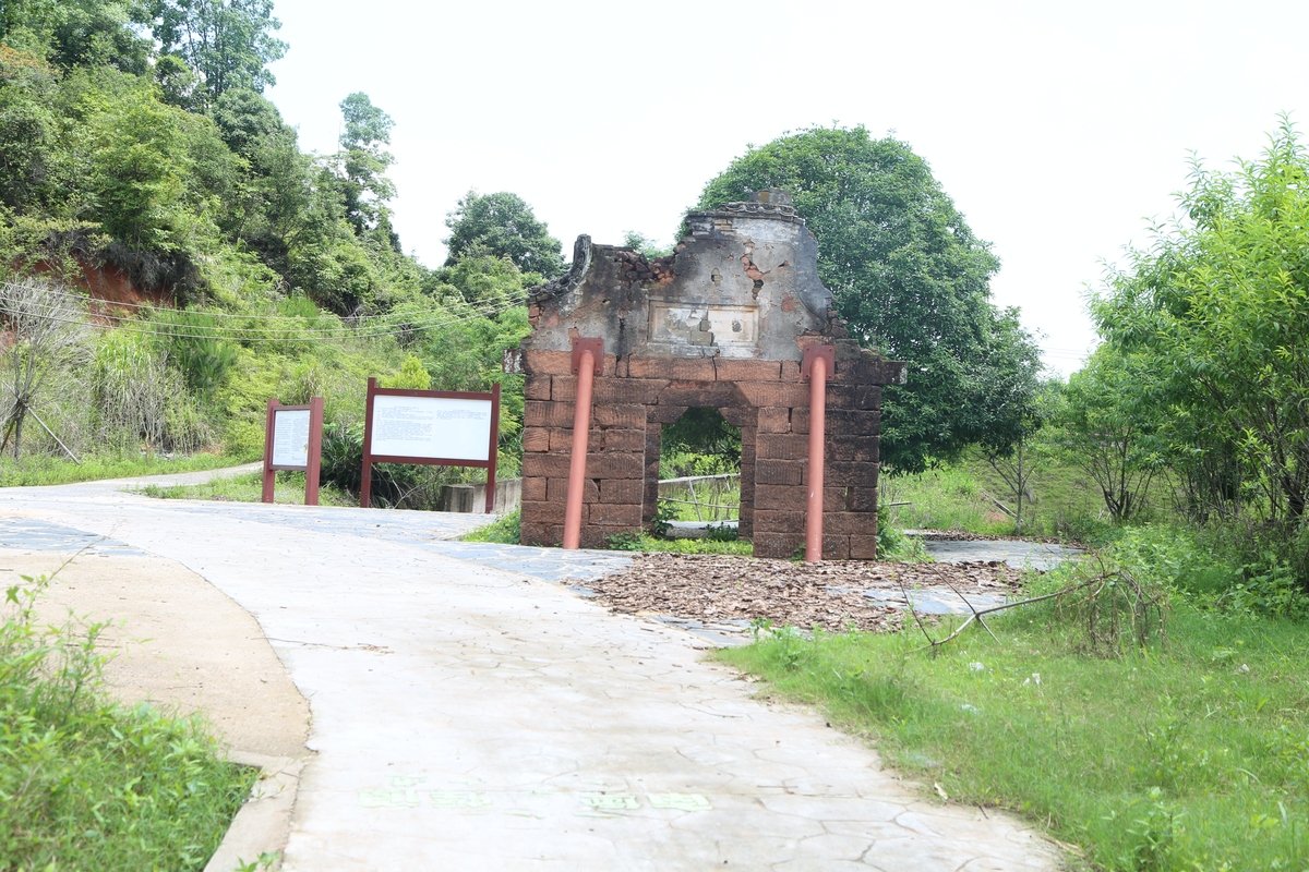 南充桂花乡桂花村委会帮我用200字详细描述