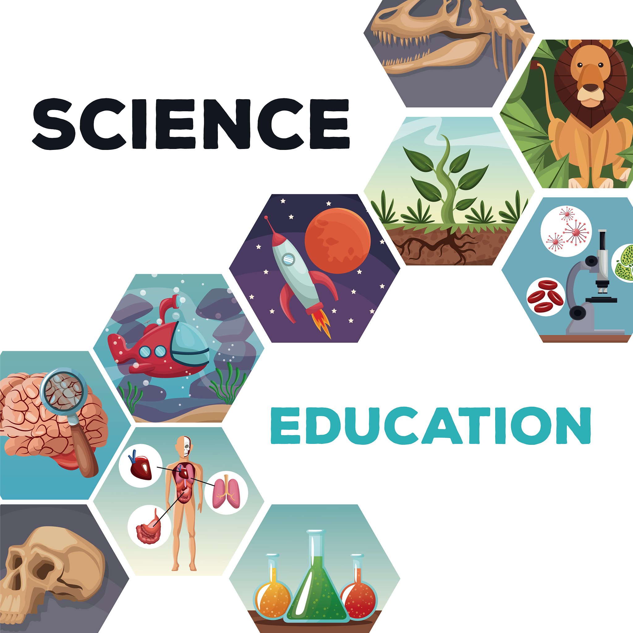 POSTHARVEST BIOLOGY AND TECHNOLOGY期刊：采后科学领域权威期刊