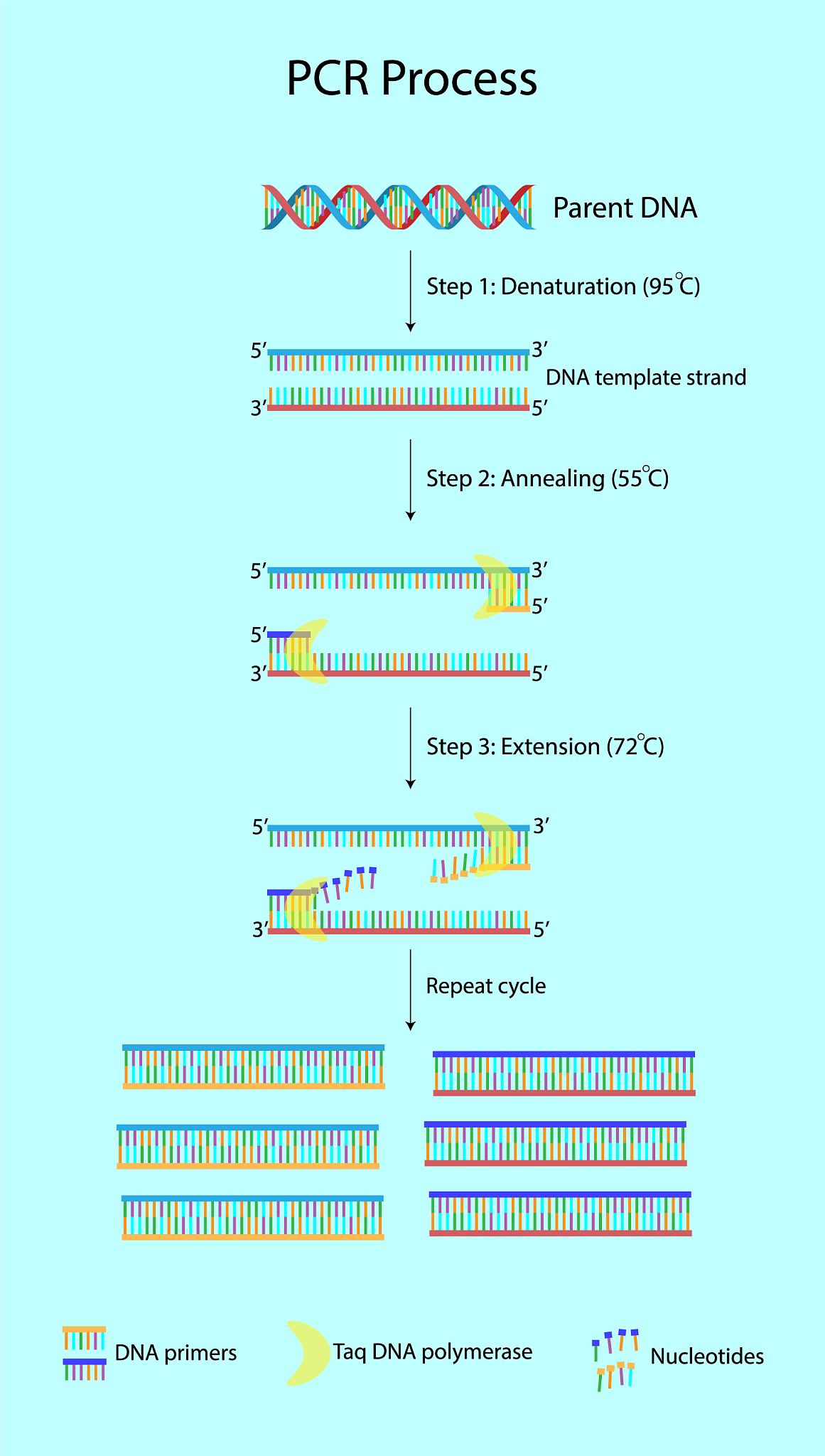 Regular Expression for Matching Any Character: Explained