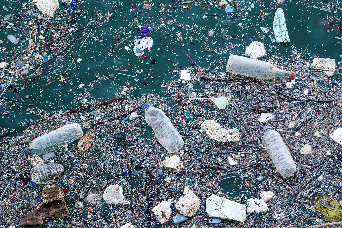 DEET污染：一种日益严重的威胁