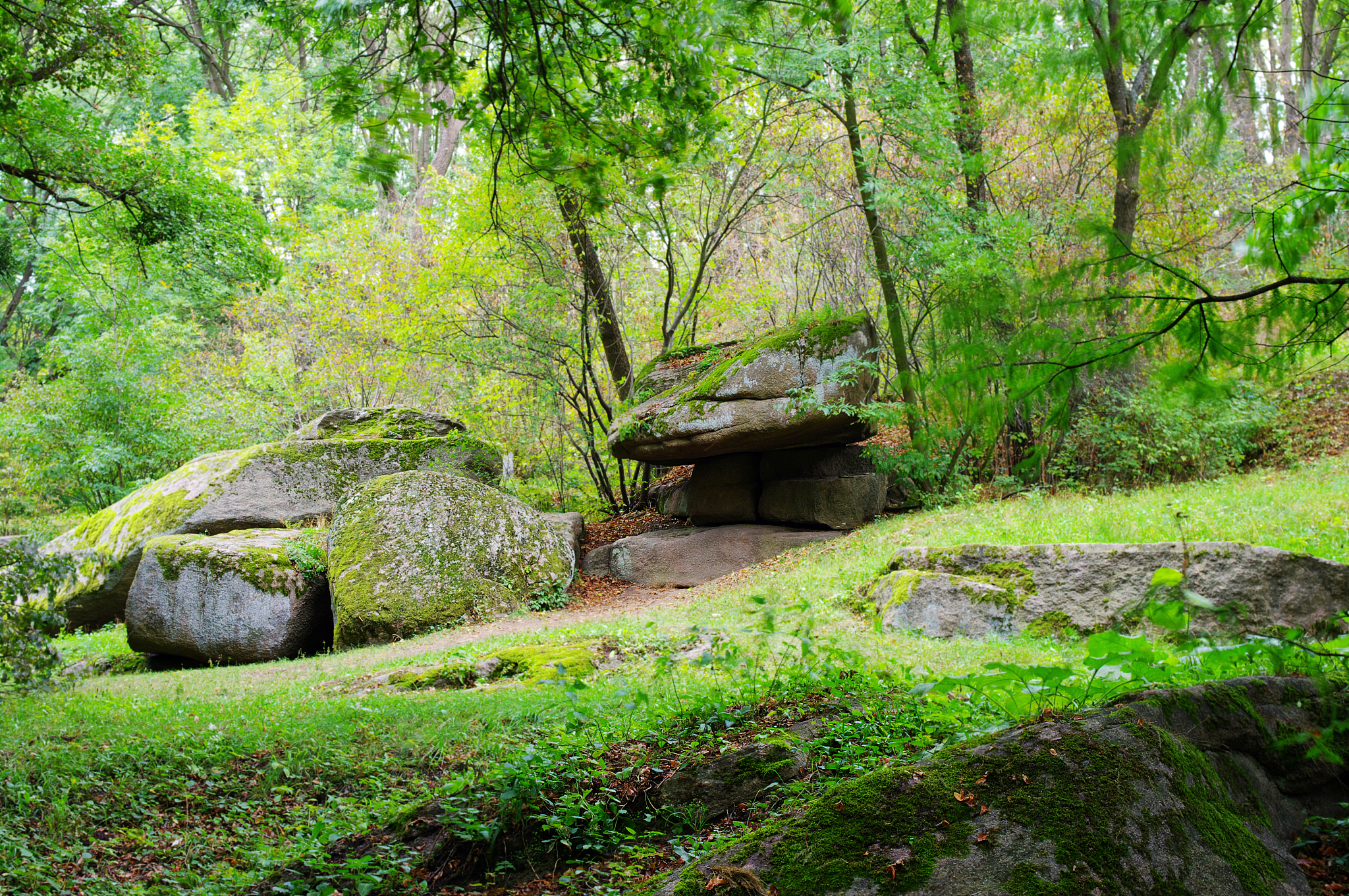 原始之美：庄严姿态下的自然庇护所