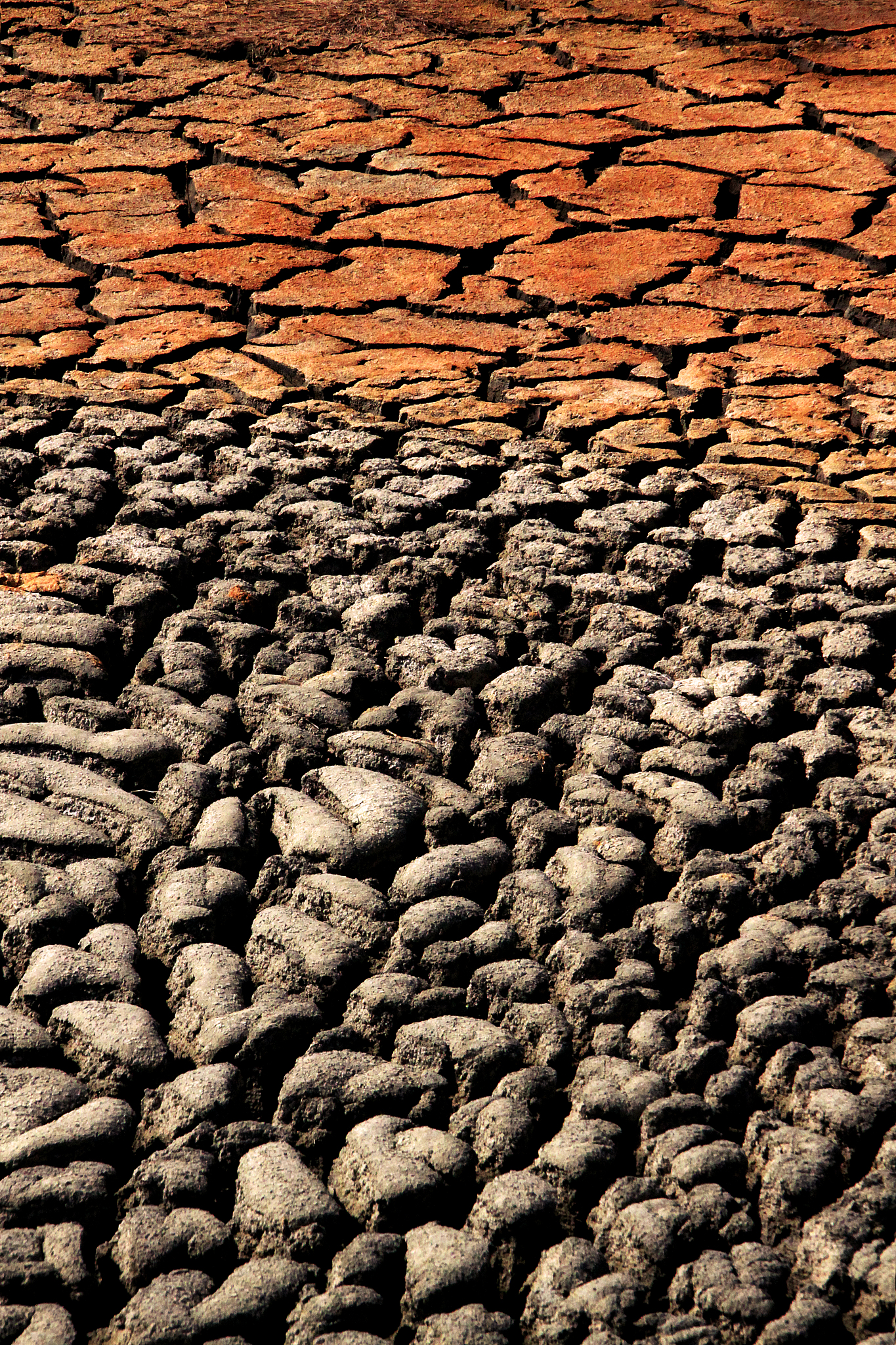 弱淋溶土的形成：成土条件和成土过程解析