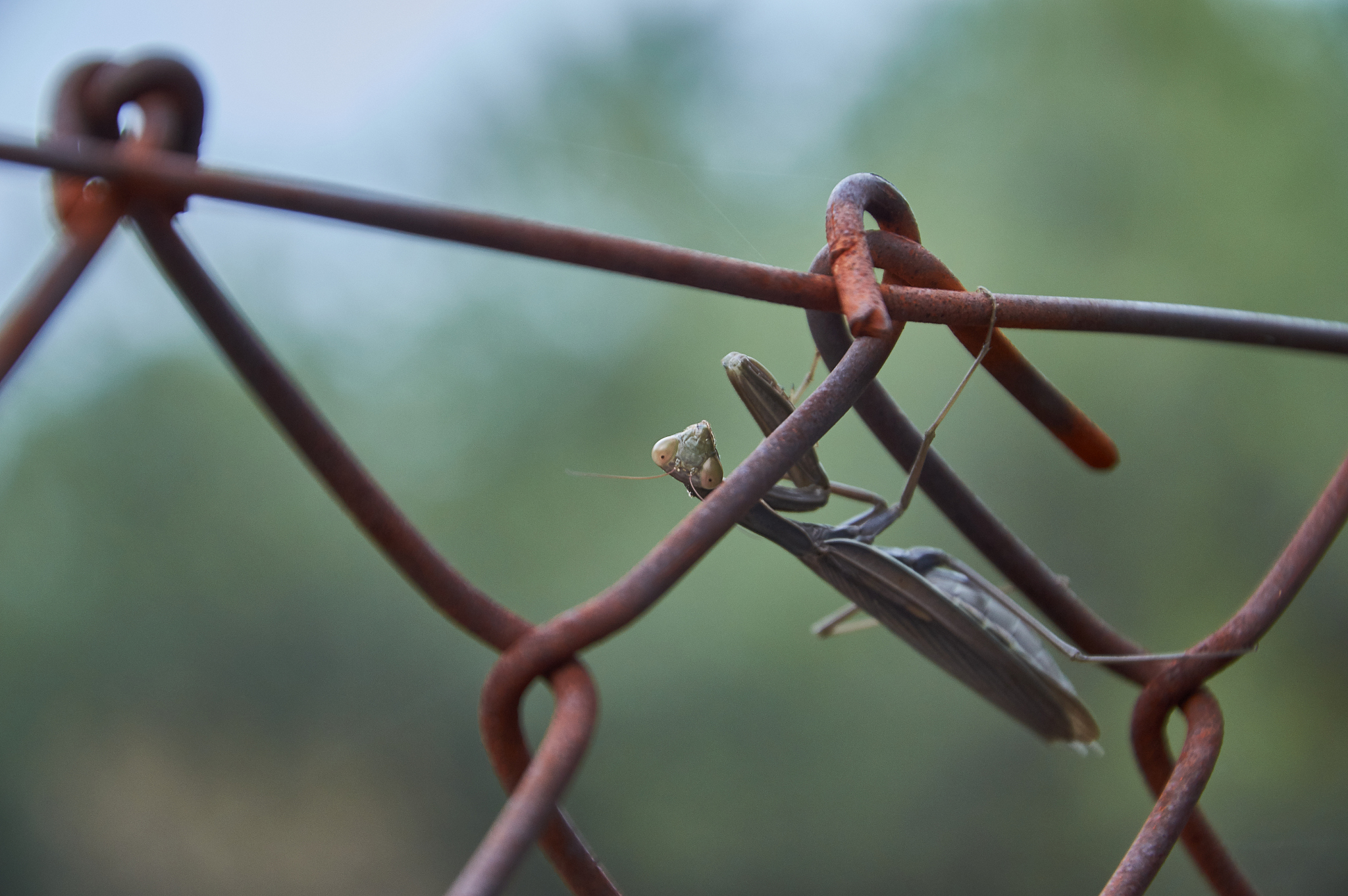 成都公办铁路学校怎么样 - 培养铁路人才的优质选择