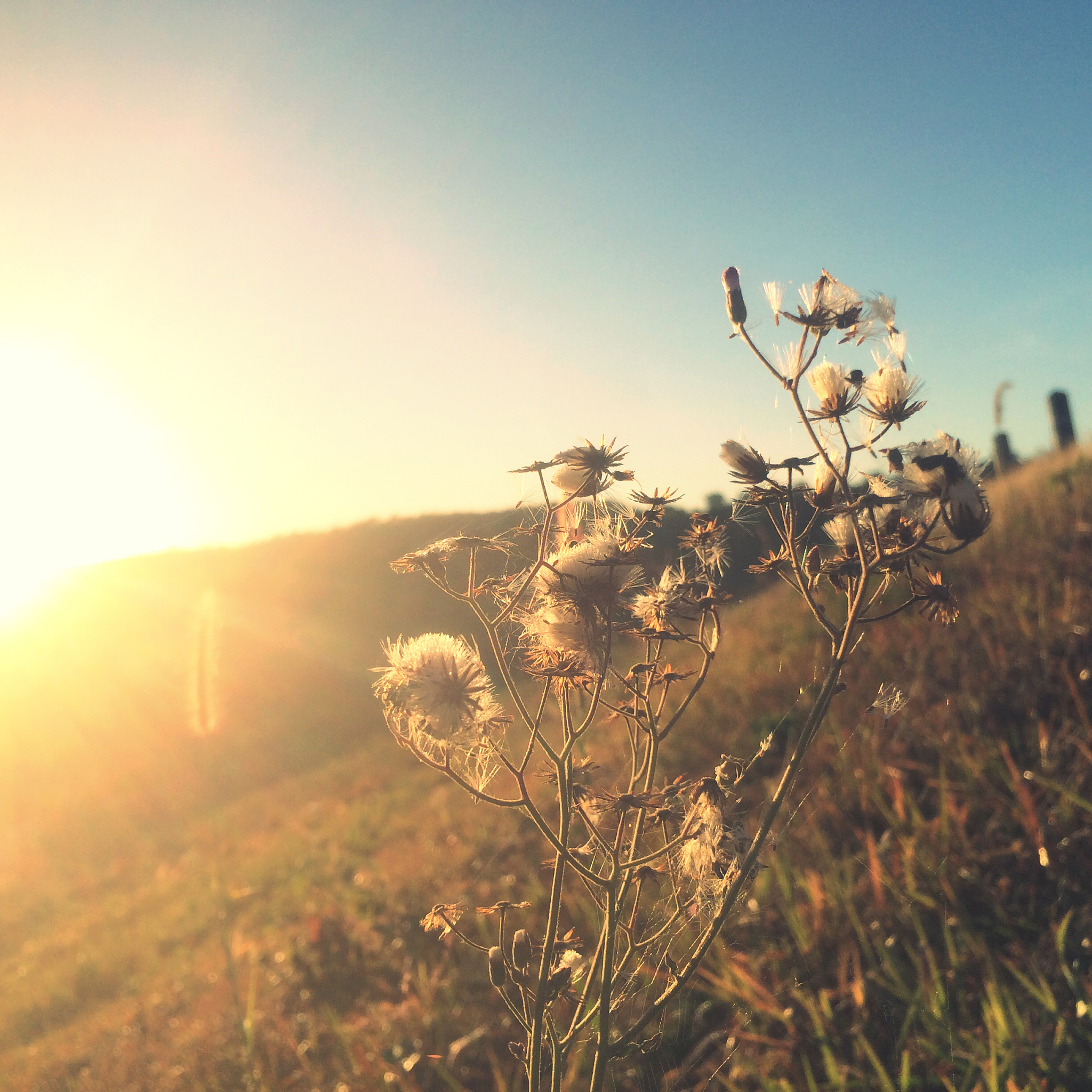 追寻内心渴望，遇见更美的自己