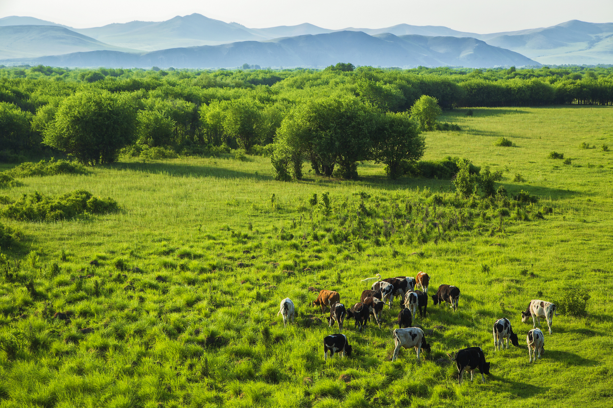 根据菜、瓜类等农产品是重要的绿色农产品生产基地。阴山以北为荒漠、半荒漠化草原面积约21万平方公里草场面积3650万亩盛产戈壁红驼、二狼山白绒山羊、草原黄牛、蒙古马等无污染绿色畜产品是优质畜产品输出基地。5服务业发展乌拉特后旗现有旅游景点38处已建成国家3A级景1个2A级景区4个特色乡村旅游2个红色教育基地有2个。现有国家级沙漠公园、地质公园、草原生态公园各1处国家级自驾车营地1处。四星级农牧家乐7