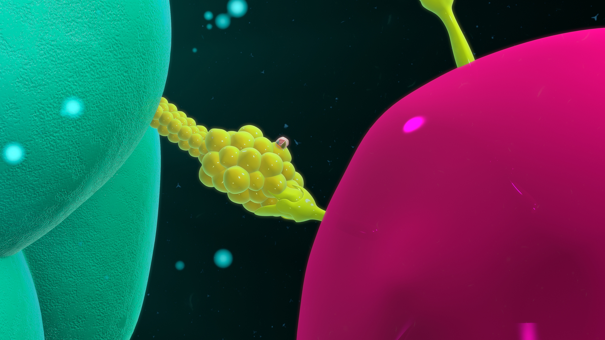 T细胞应答：机制、过程和功能 - 免疫系统的重要组成部分