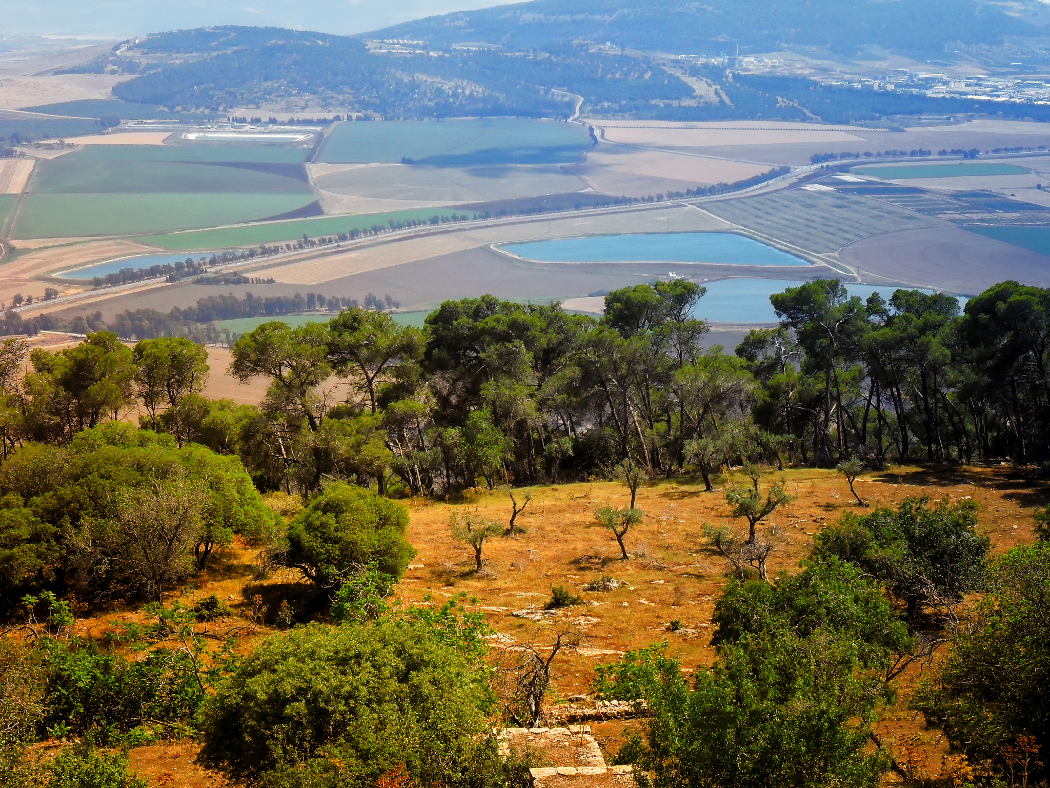 church of the transfiguration on mount tabor in israel