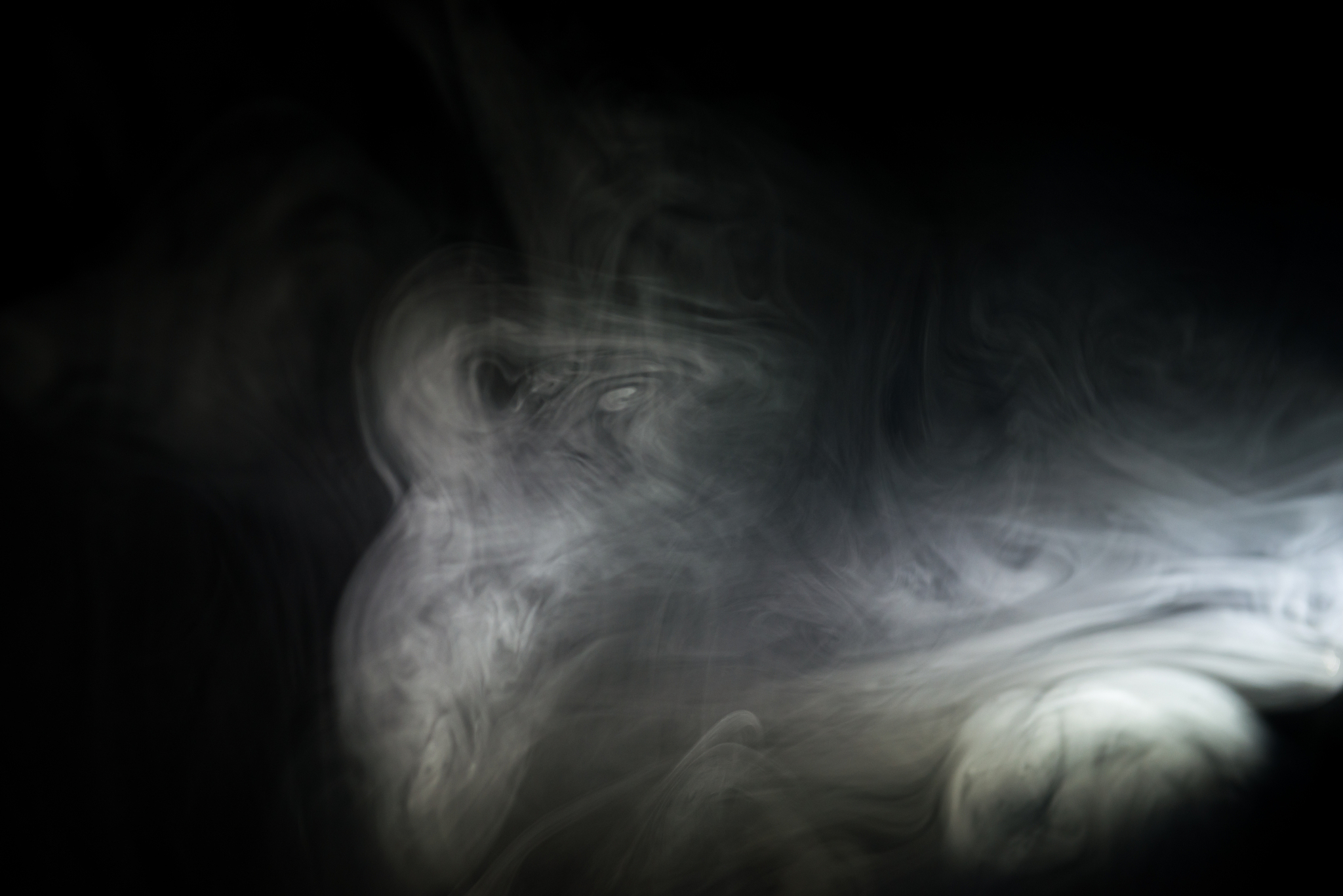 中国最贵香烟：中华人民共和国国宾烟价格惊人