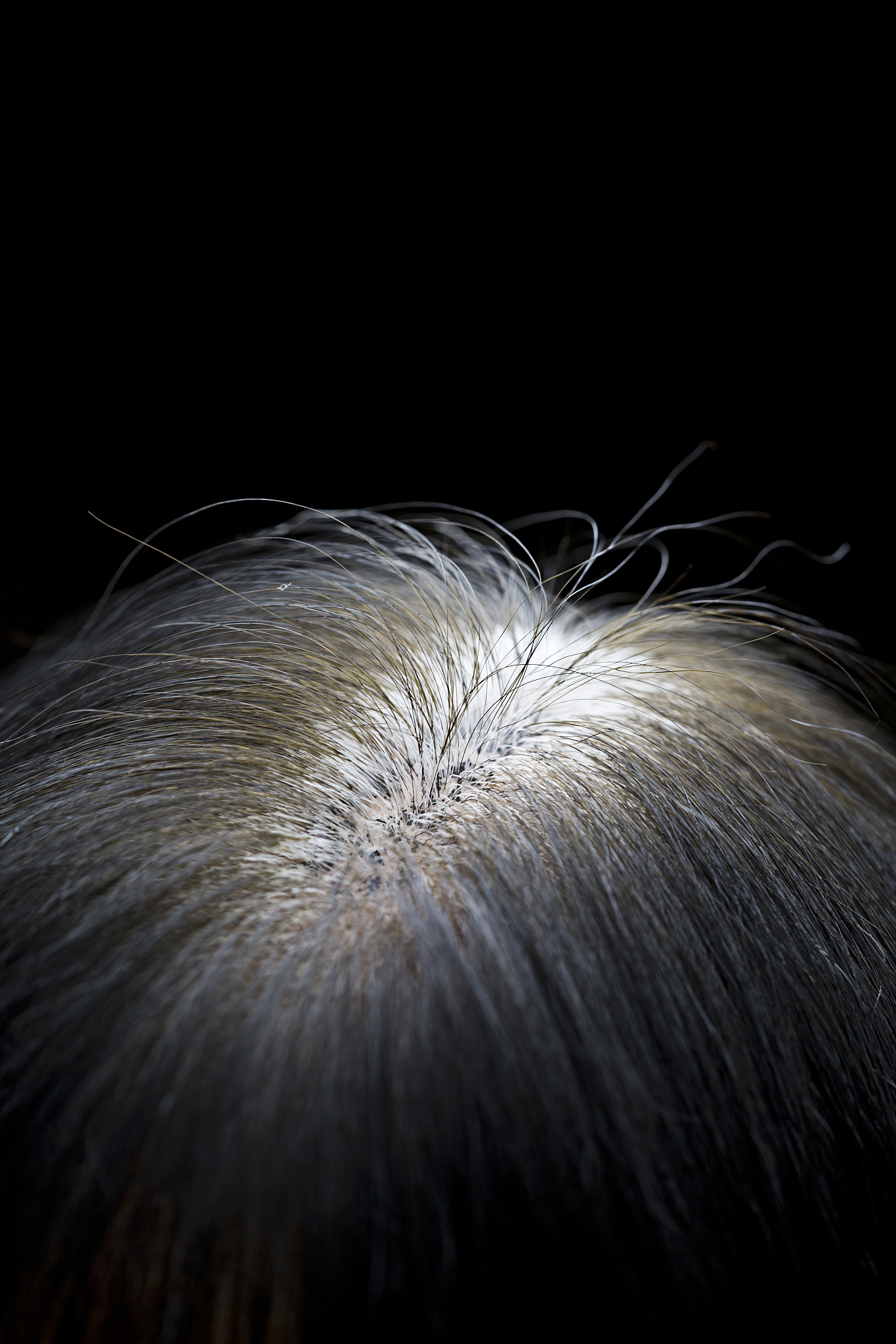 奶茶灰染发配方：打造时尚低调的灰色系发色