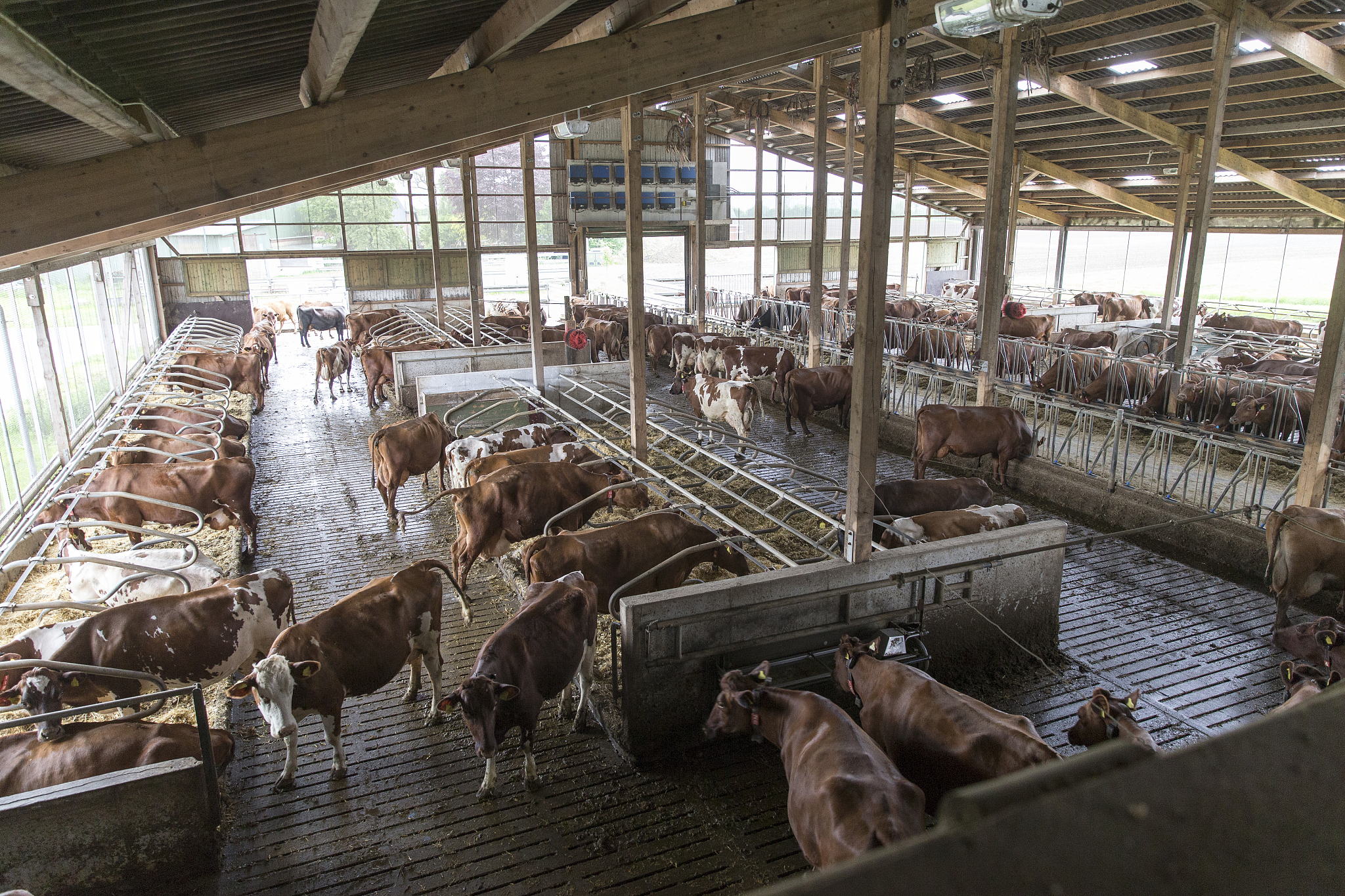 畜禽养殖业发展概况：规模、科技、品种和环境