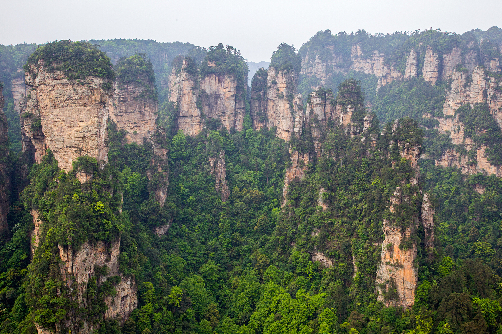 张家界旅游攻略：自然奇观、人文风情，精彩不容错过！
