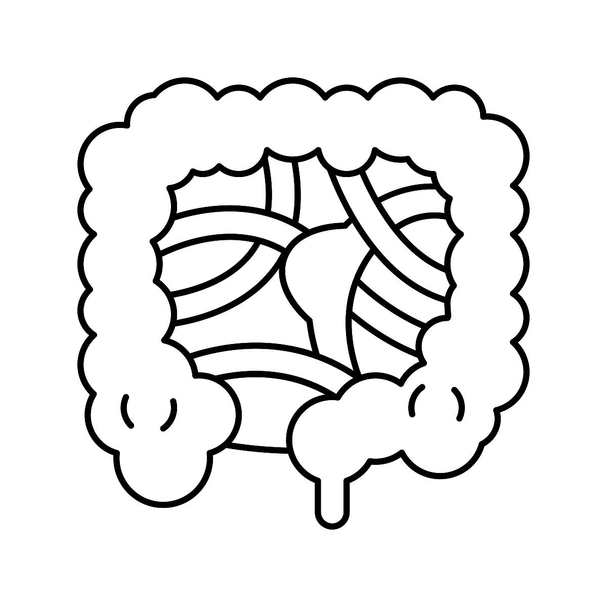 黏连性肠梗阻的流行病学