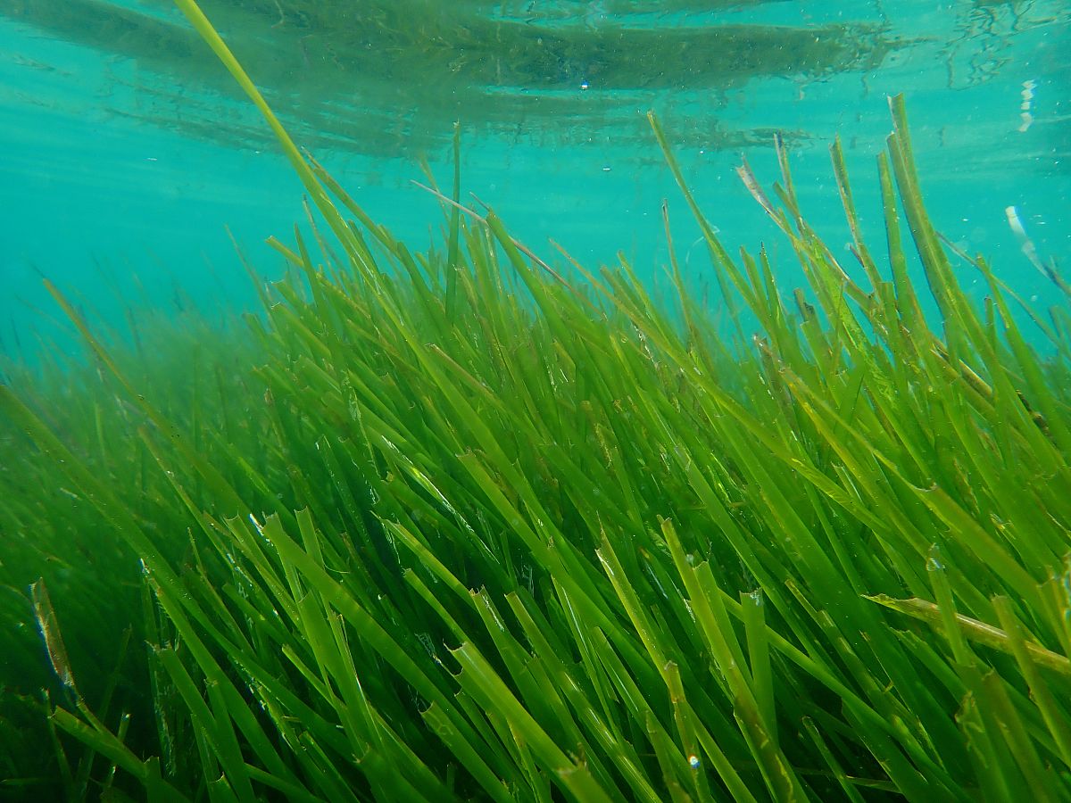 多地控制线路的组成特点是什么