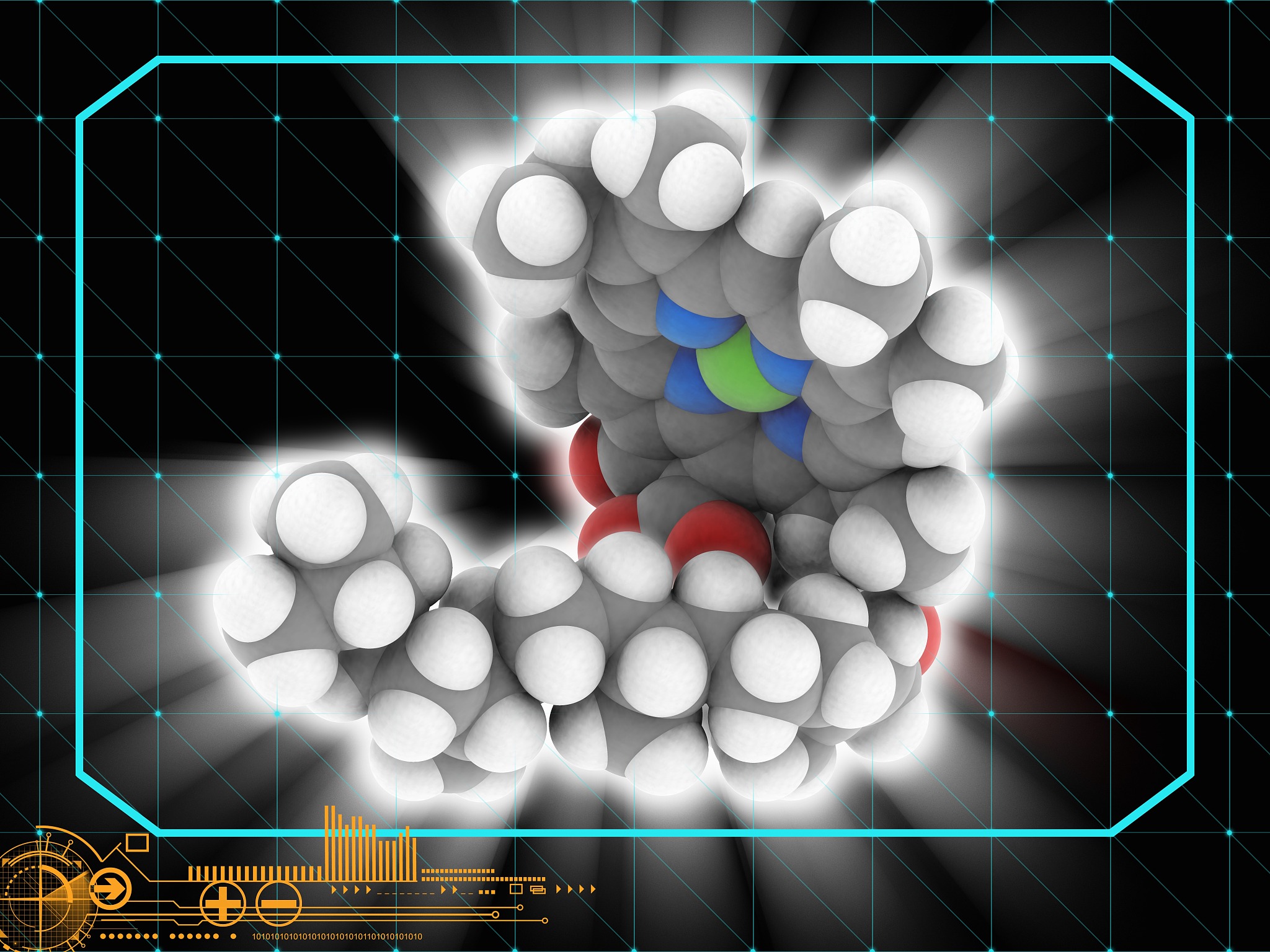 光合作用机制：从光能到有机物