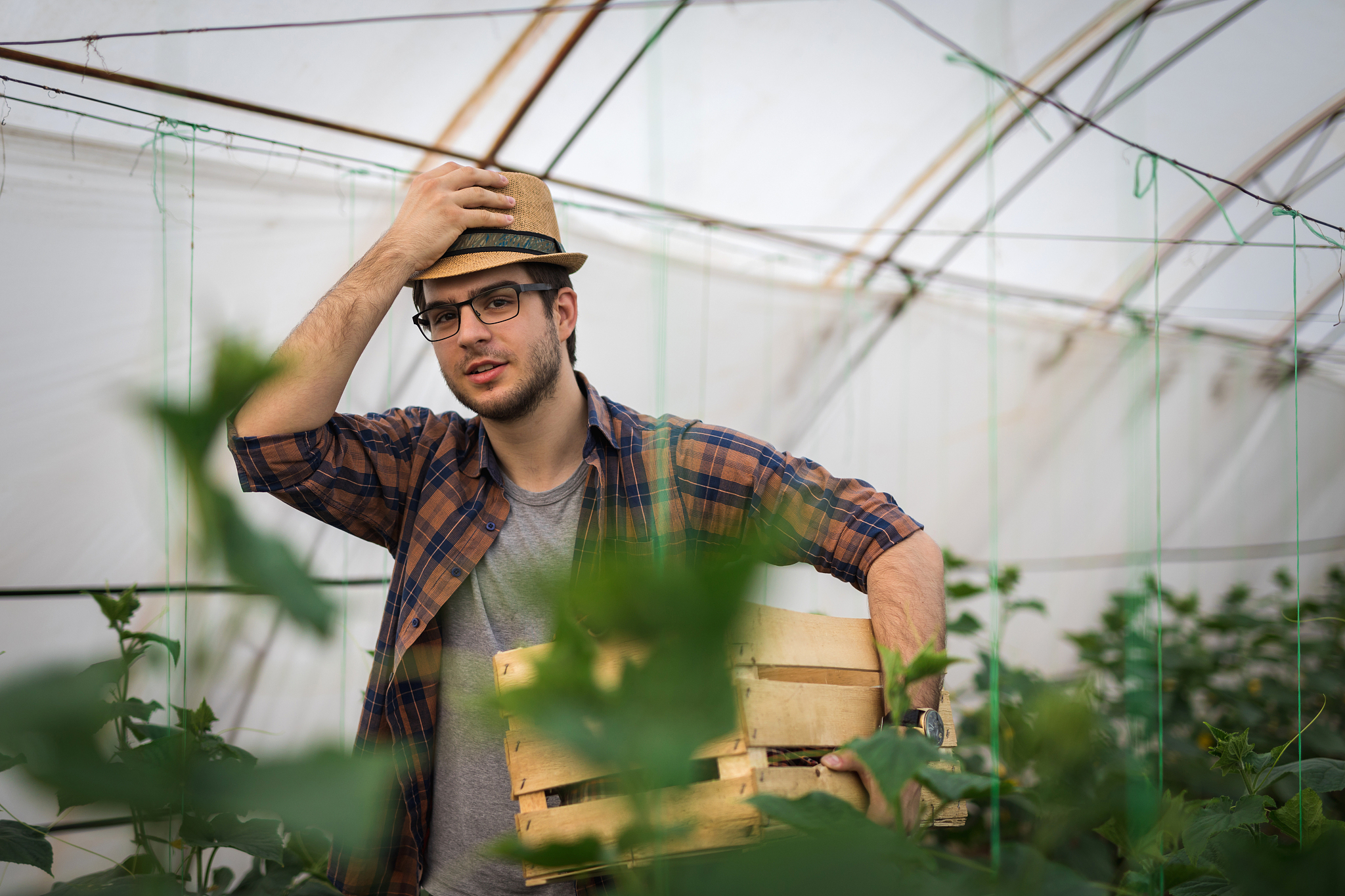 大学生视角：腐蚀真的只有坏处吗？