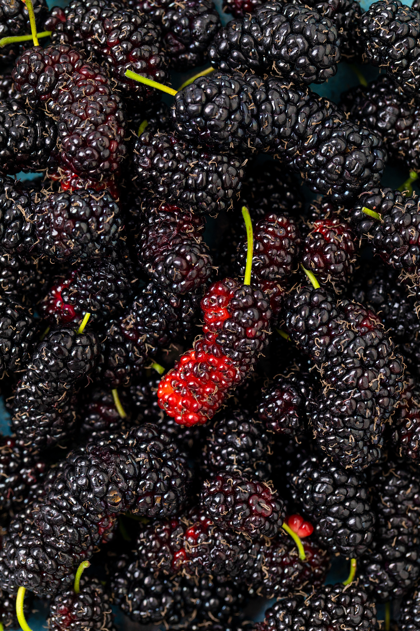 桑葚泡酒的功效与作用现在还可以泡酒吗，