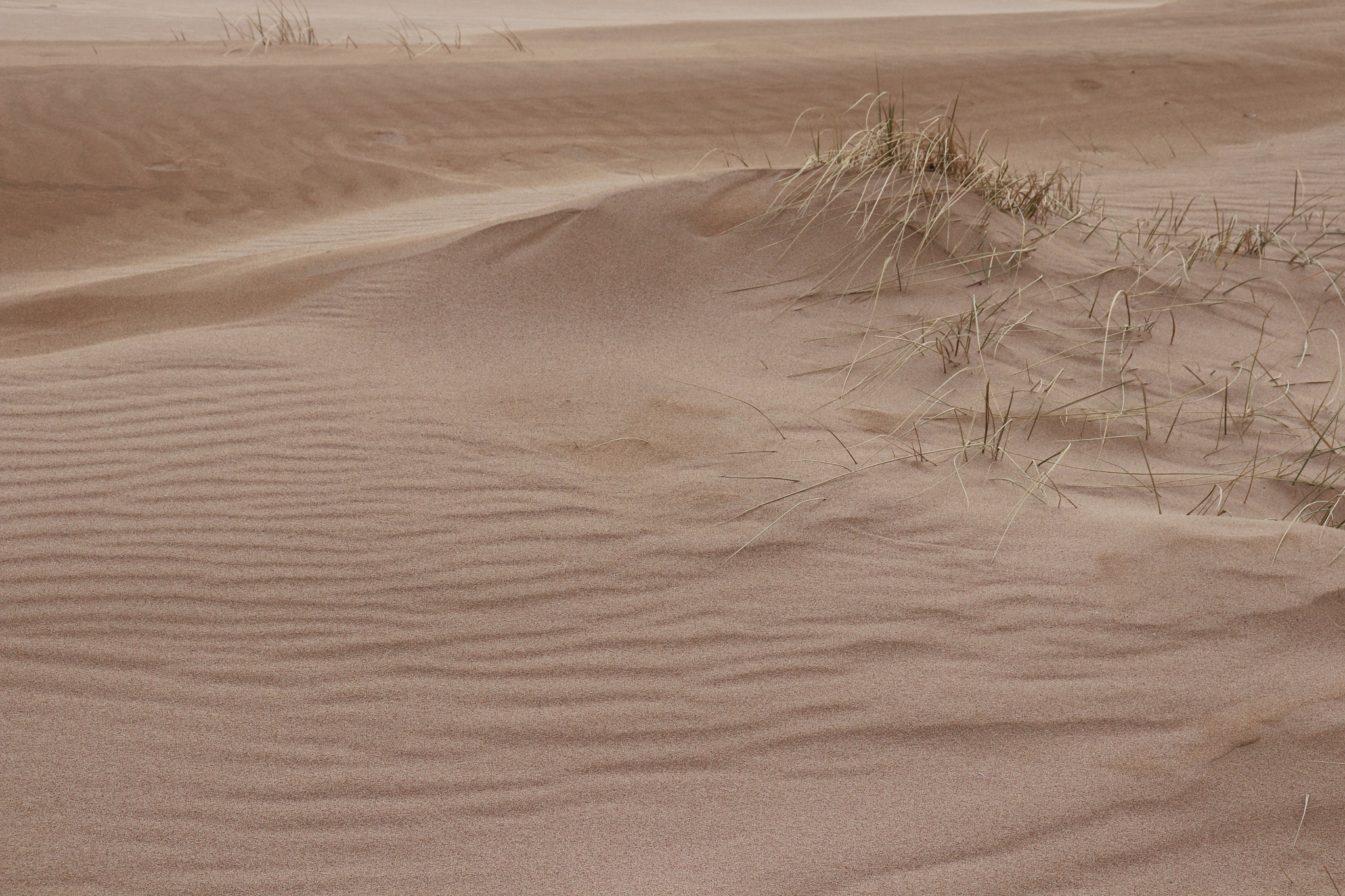 patterns in sand