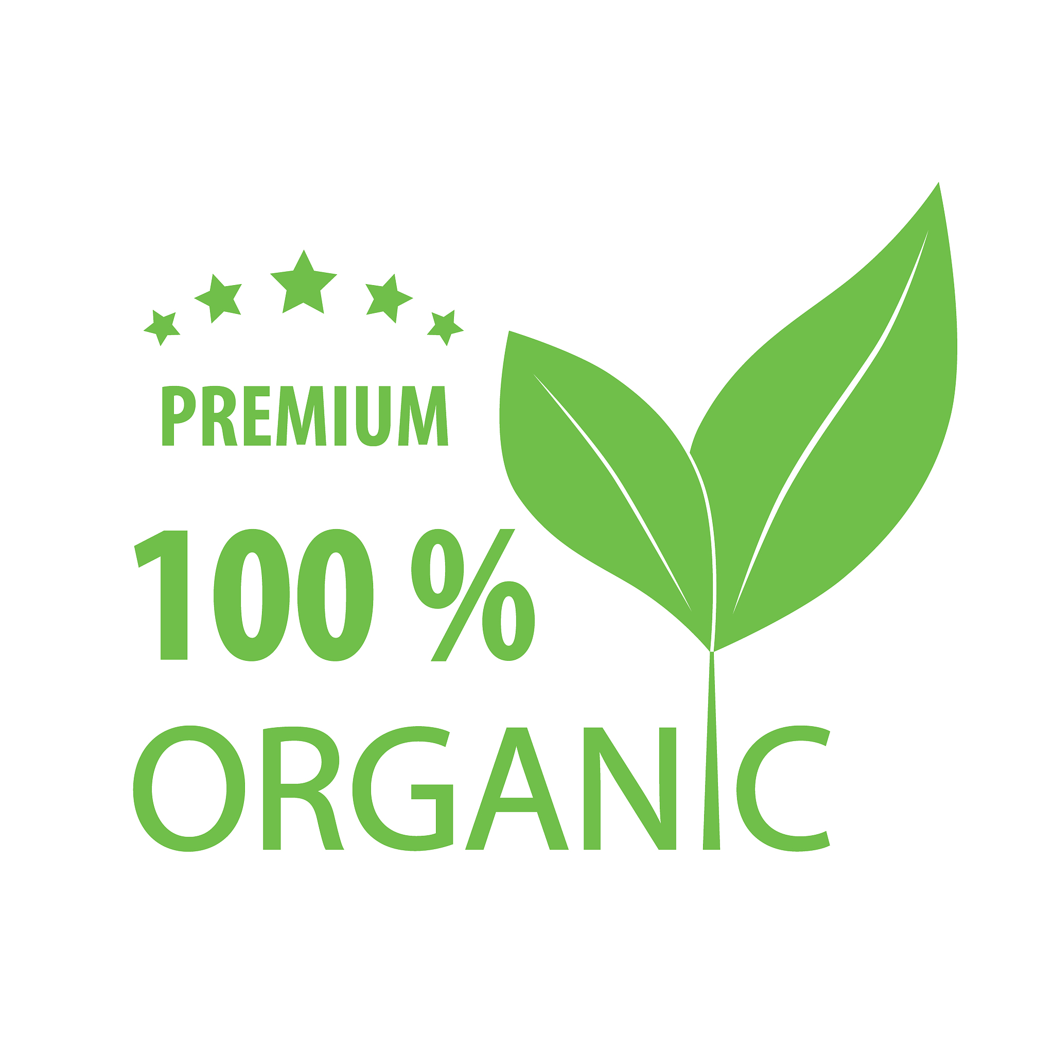 organic logo green leaf on a white background. vector illustrati