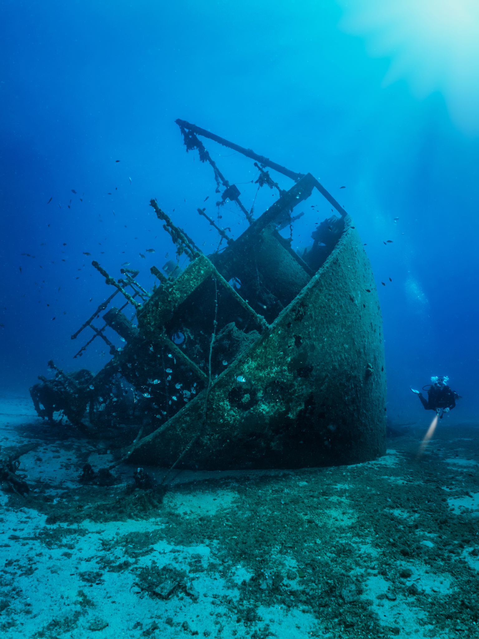 a scuba diver exploring a sunken wreck on the aegean sea in gree