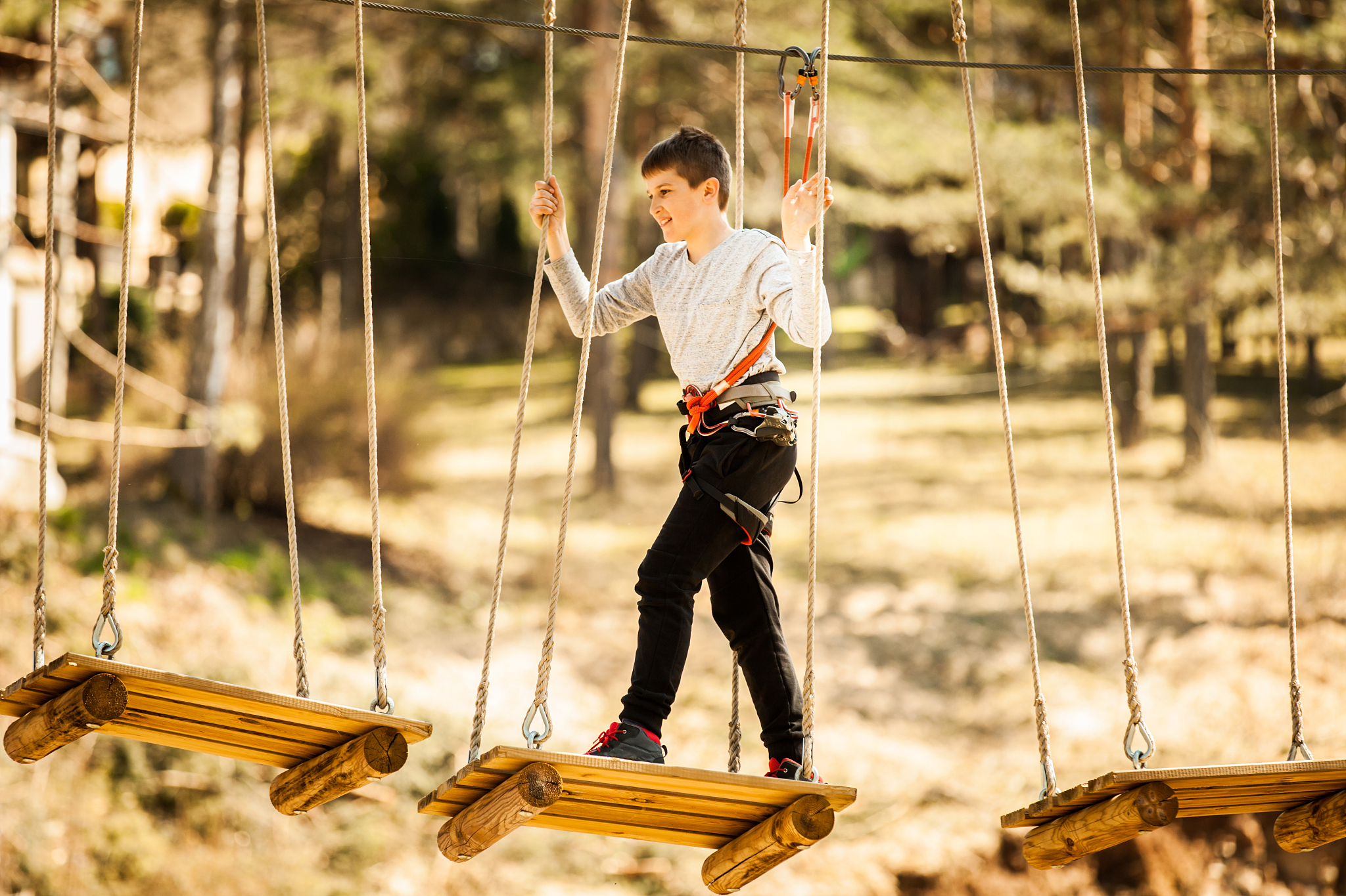 成长类作文要求：有事件、有构思特色、有好词好句、有龙头凤尾、650字