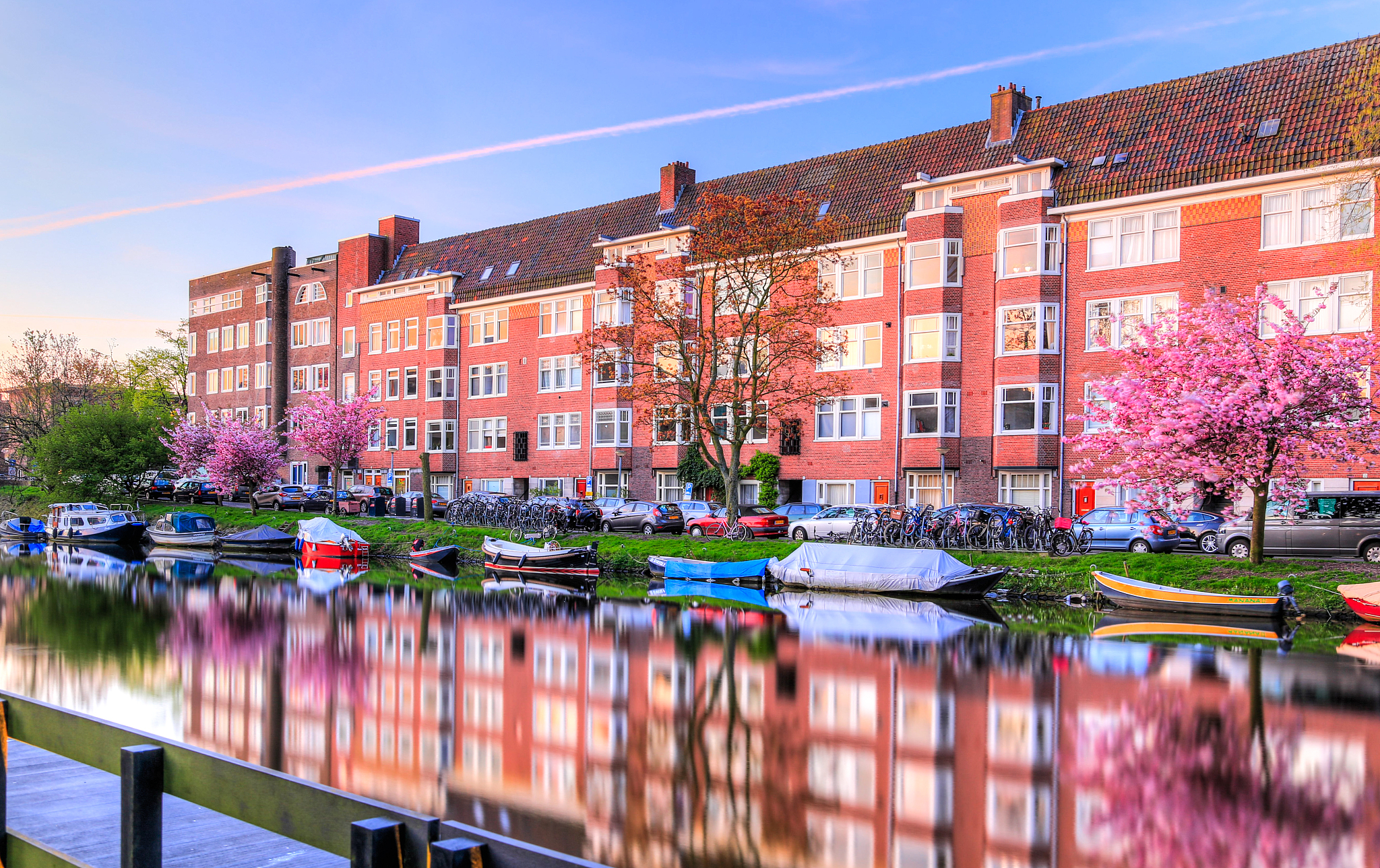 canal and cherry trees amsterdam