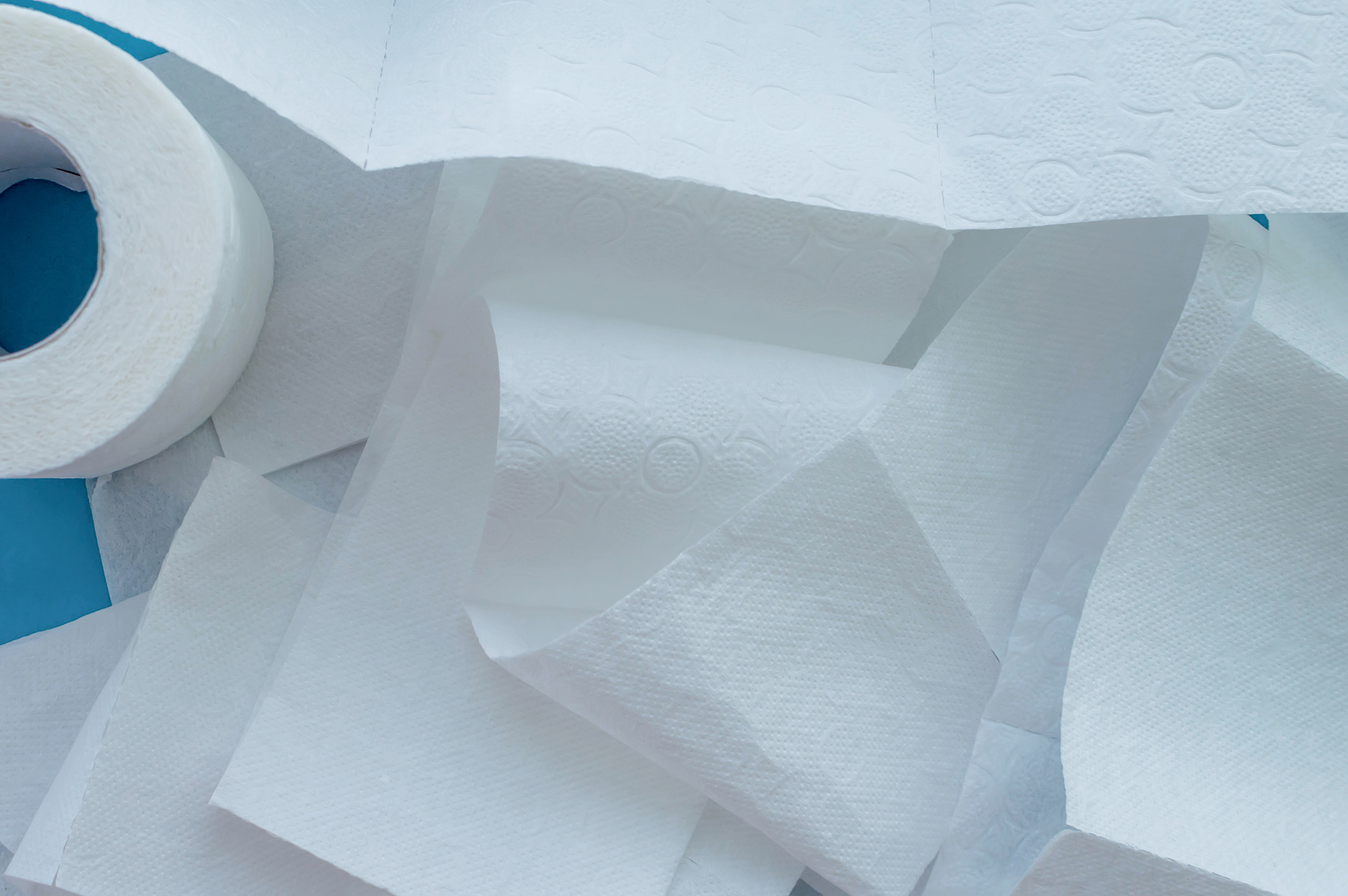 roll of white toilet paper on a blue background. close up.