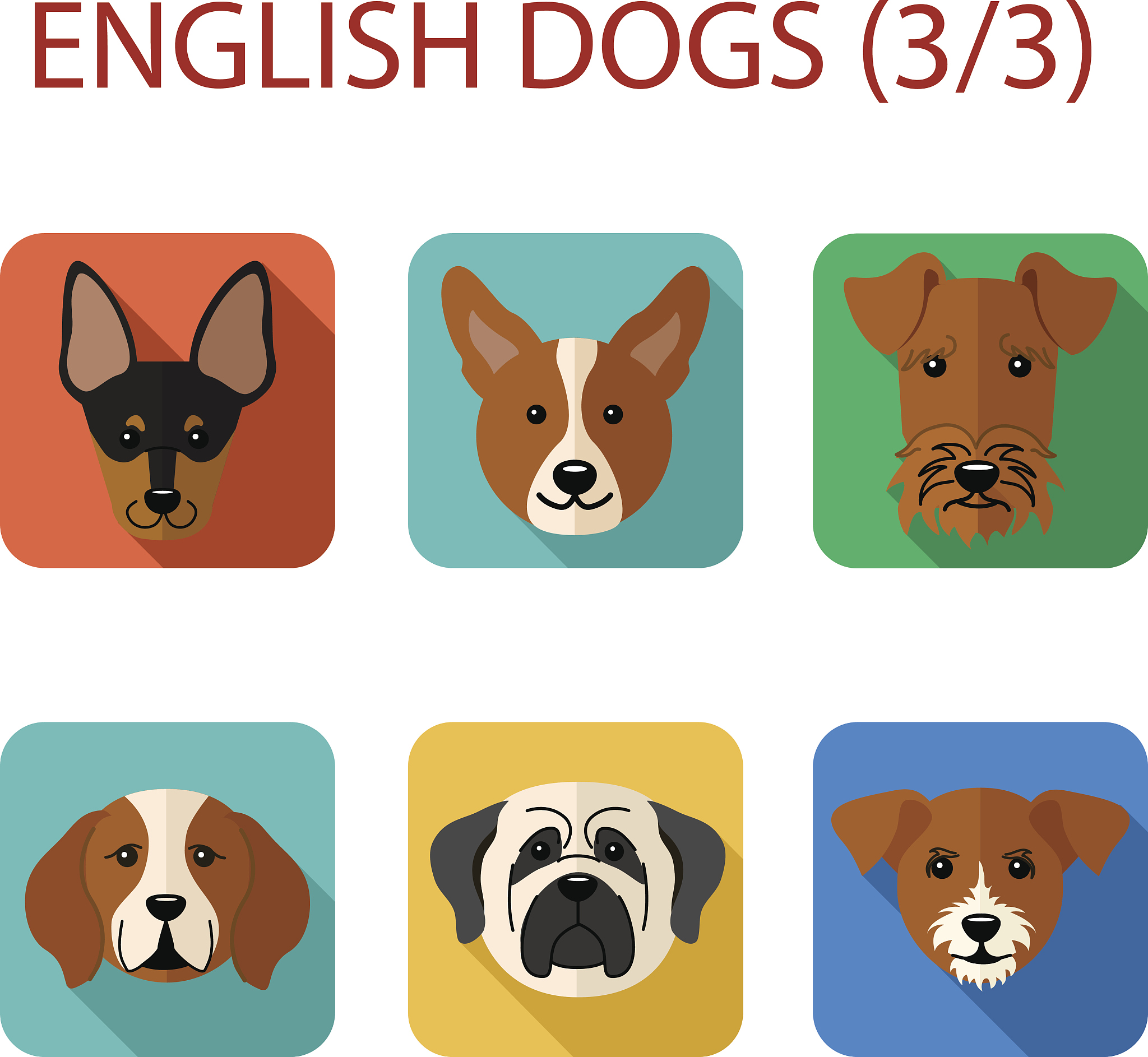 Dog 的意思是什么？ - 英语词典定义