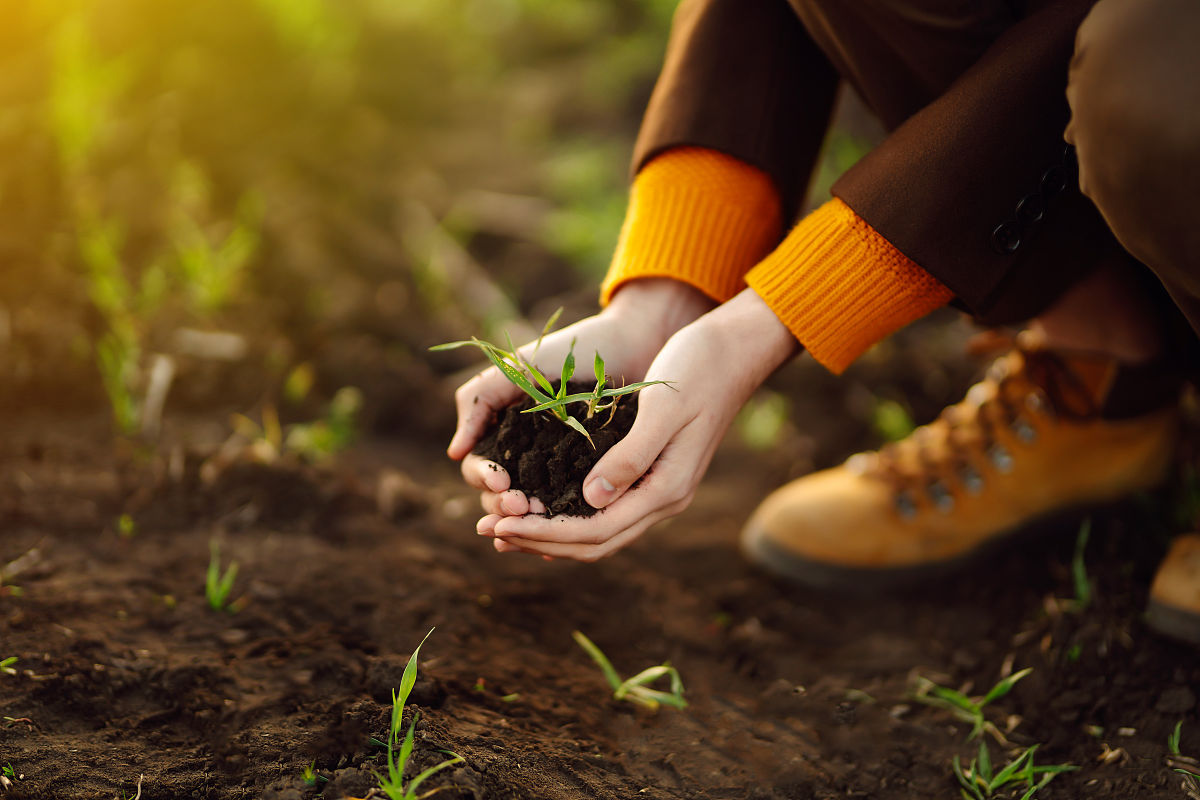 延安市农村基层民主建设问题研究：现状、对策与建议