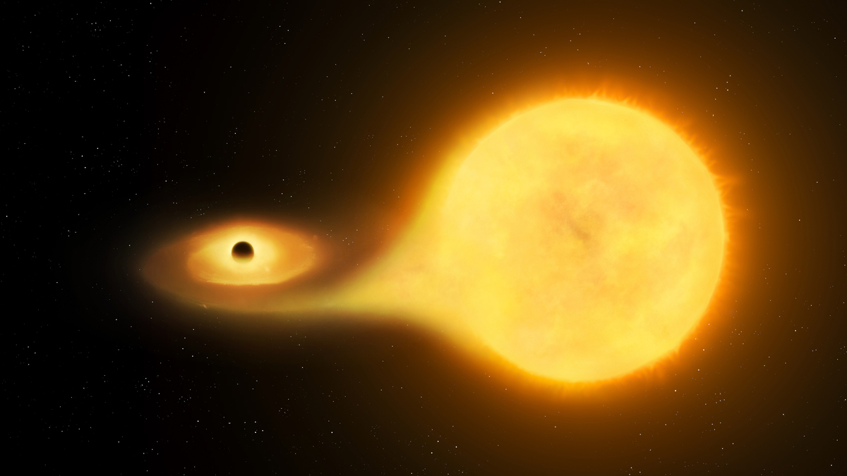 黑矮星存在吗？