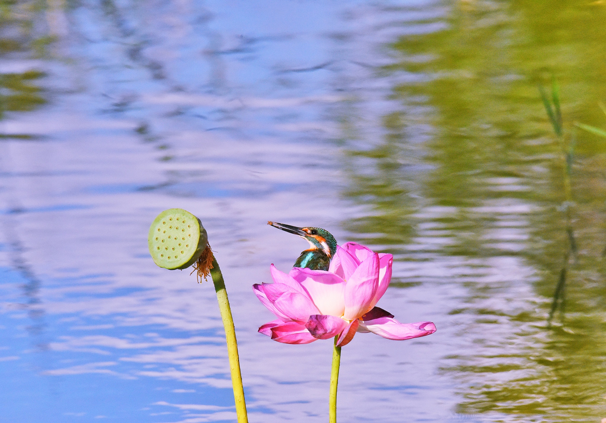 防止前摄抑制和倒摄抑制影响学生学习记忆的有效方法