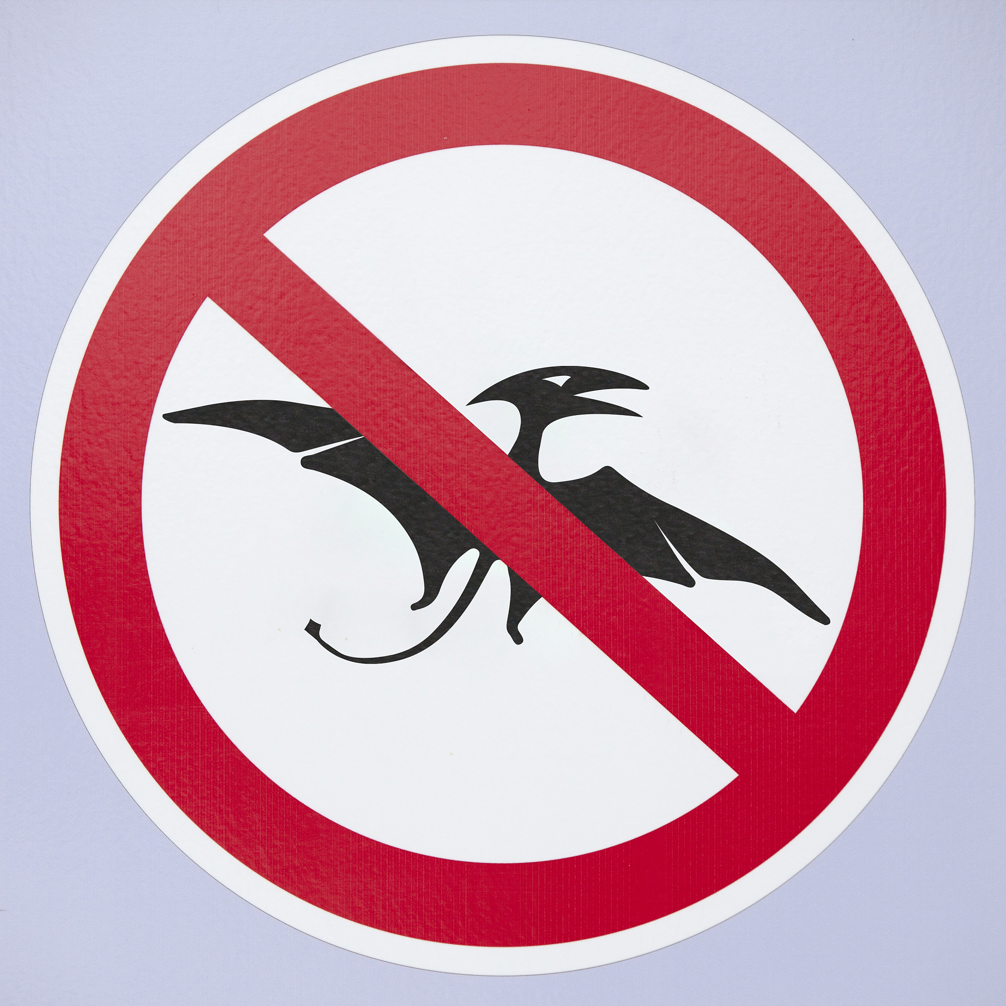 no pterodactyl sign