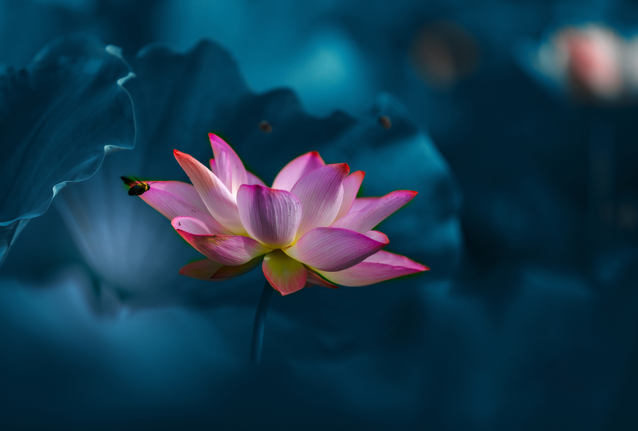 南昌旅游攻略：必玩景点和必吃美食推荐