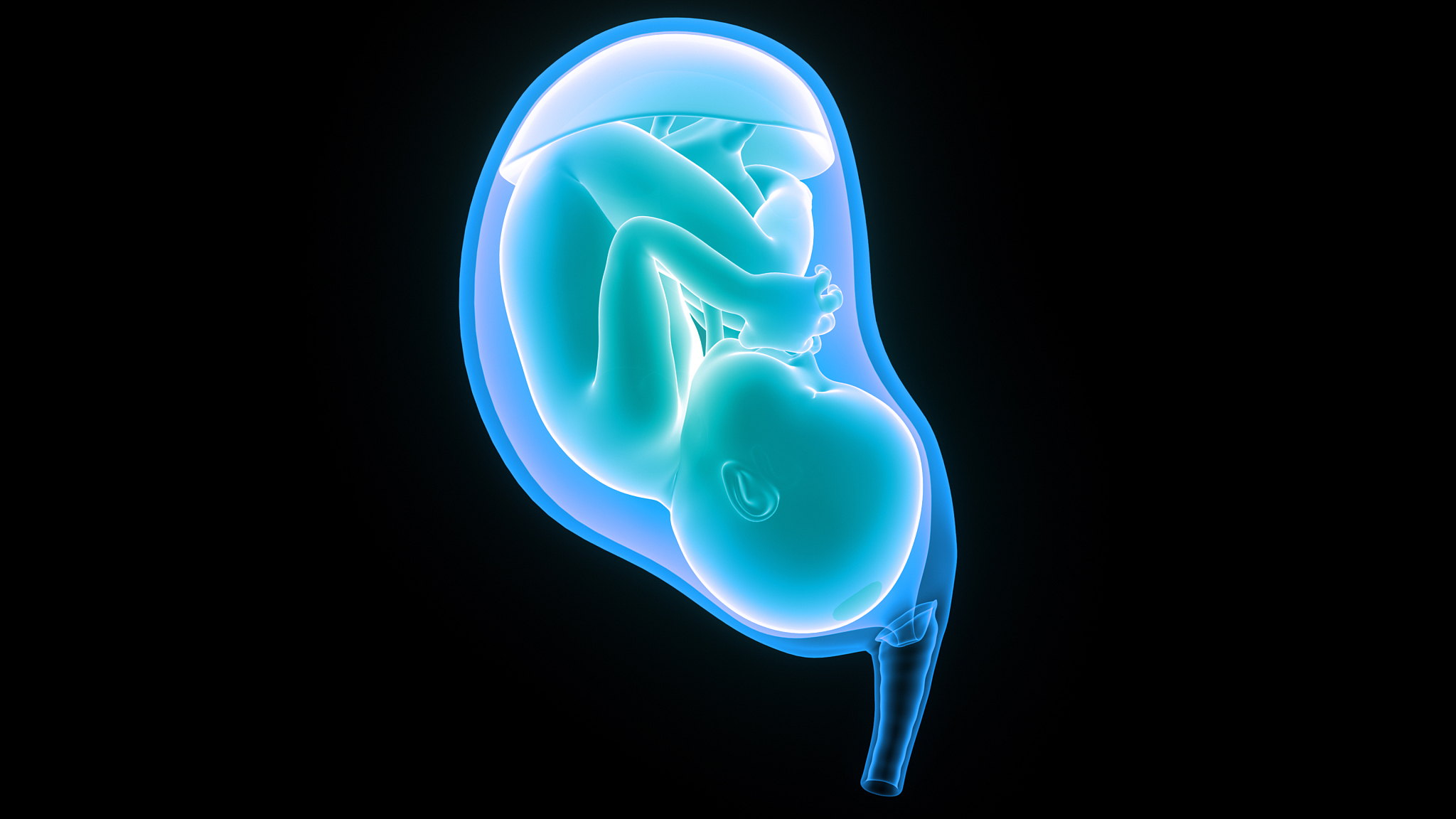 孕妇和哺乳期妇女能吃国珍牌磷脂大豆异黄酮软胶囊吗？