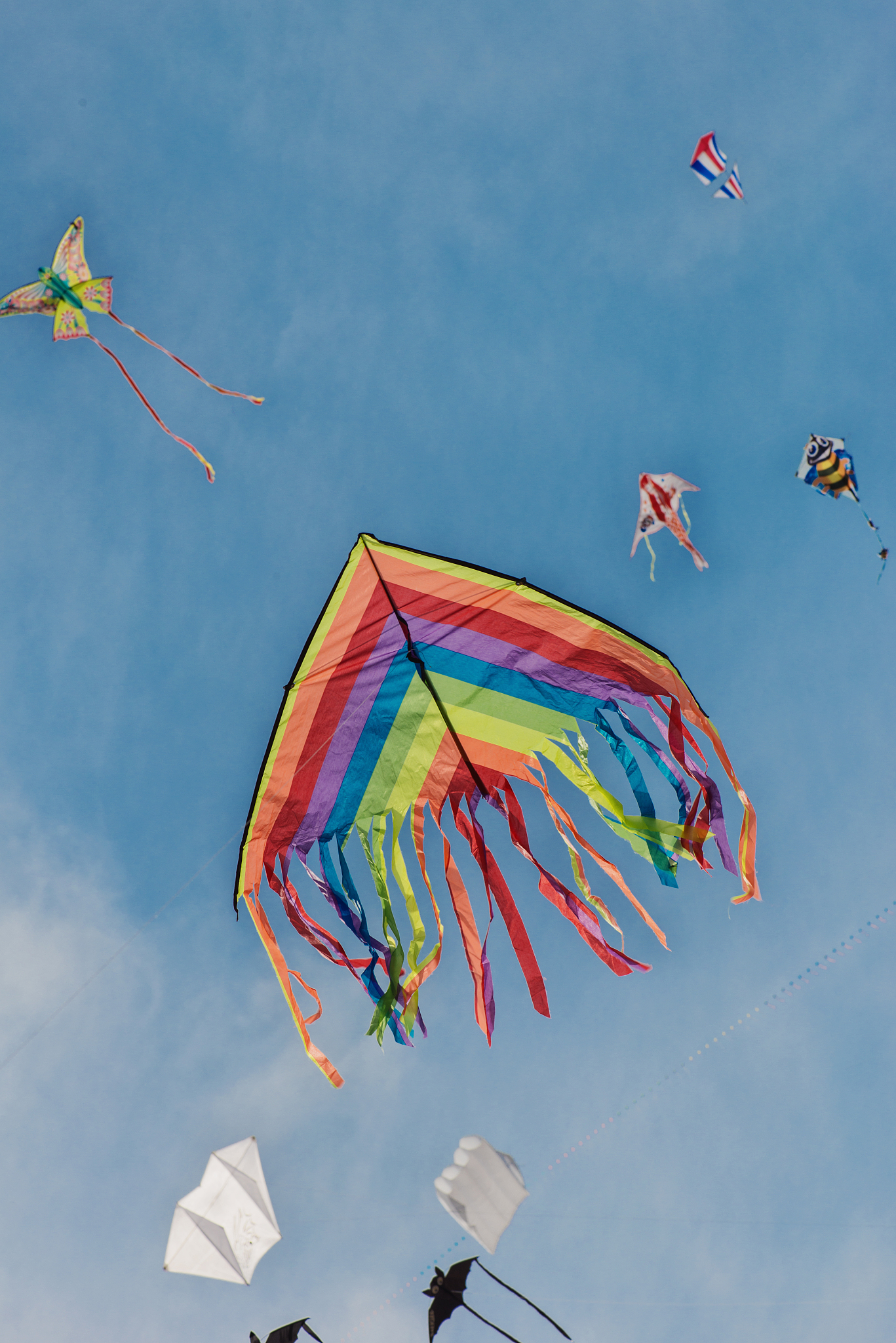 summer kite festival