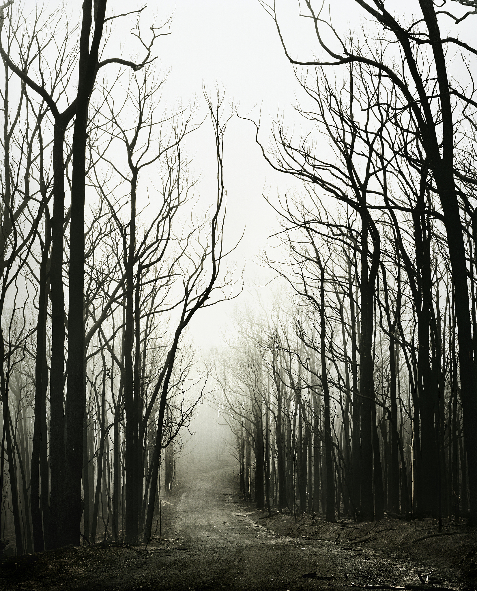 2022年版地理新课标注重环境问题的教育 怎么体现