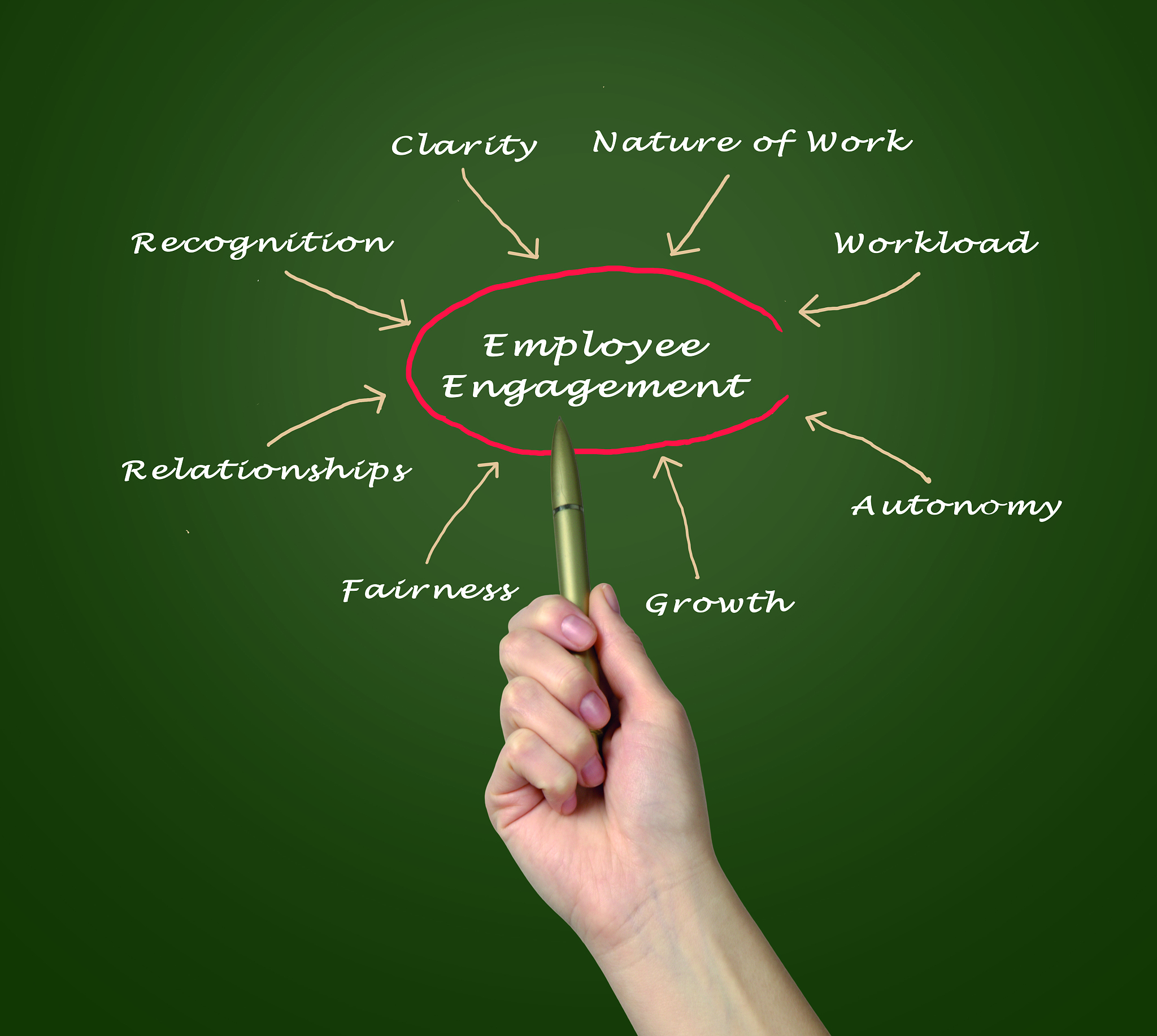 保险职业学院工商企业管理专业怎么样？就业前景、课程设置分析